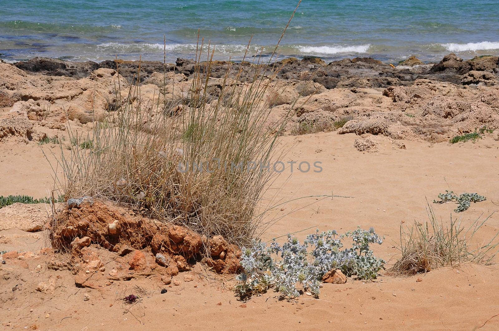 Natural beach in Crete