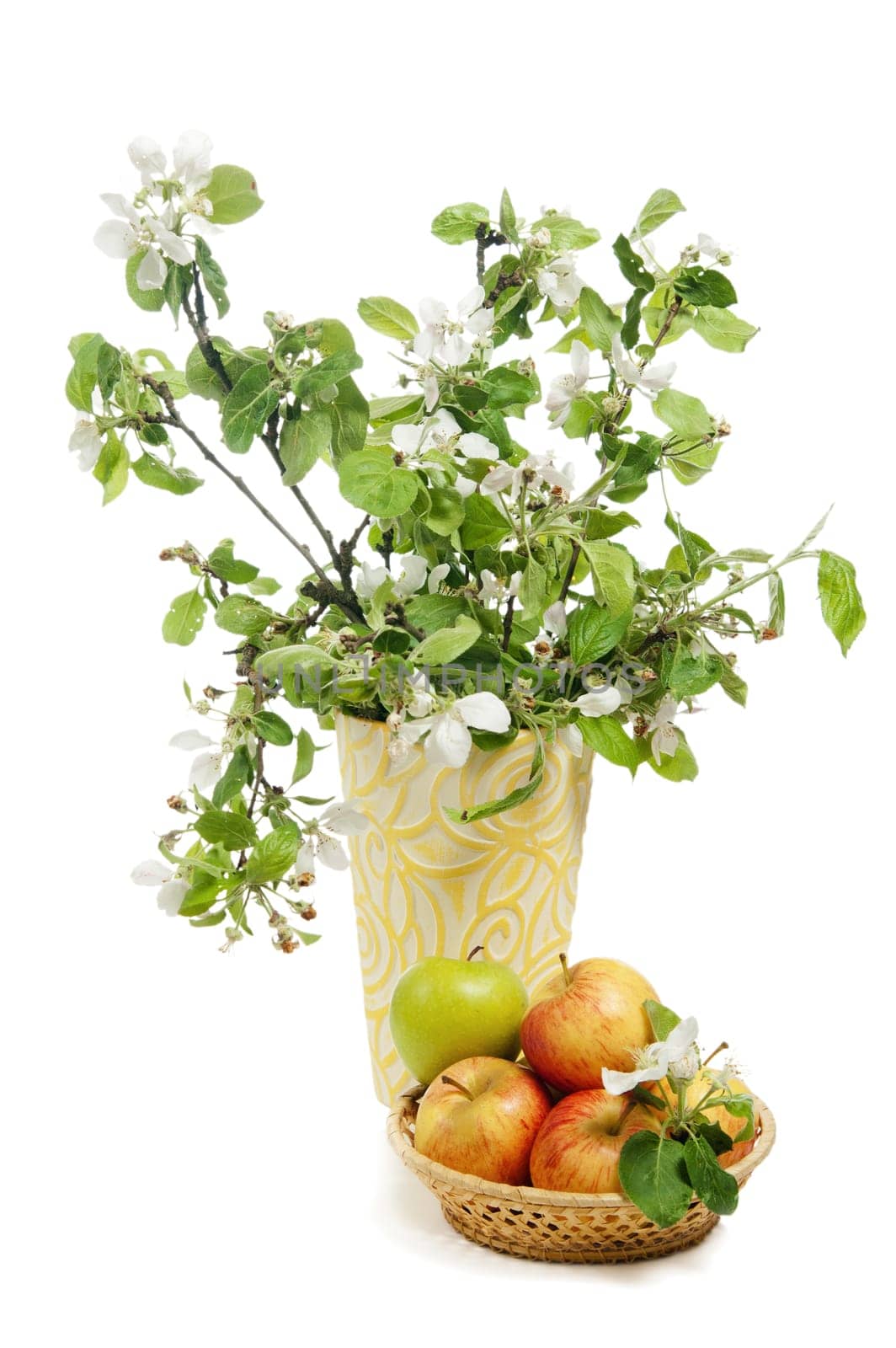 Beautiful ripe apples and branches of a blossoming apple-tree in a vase
