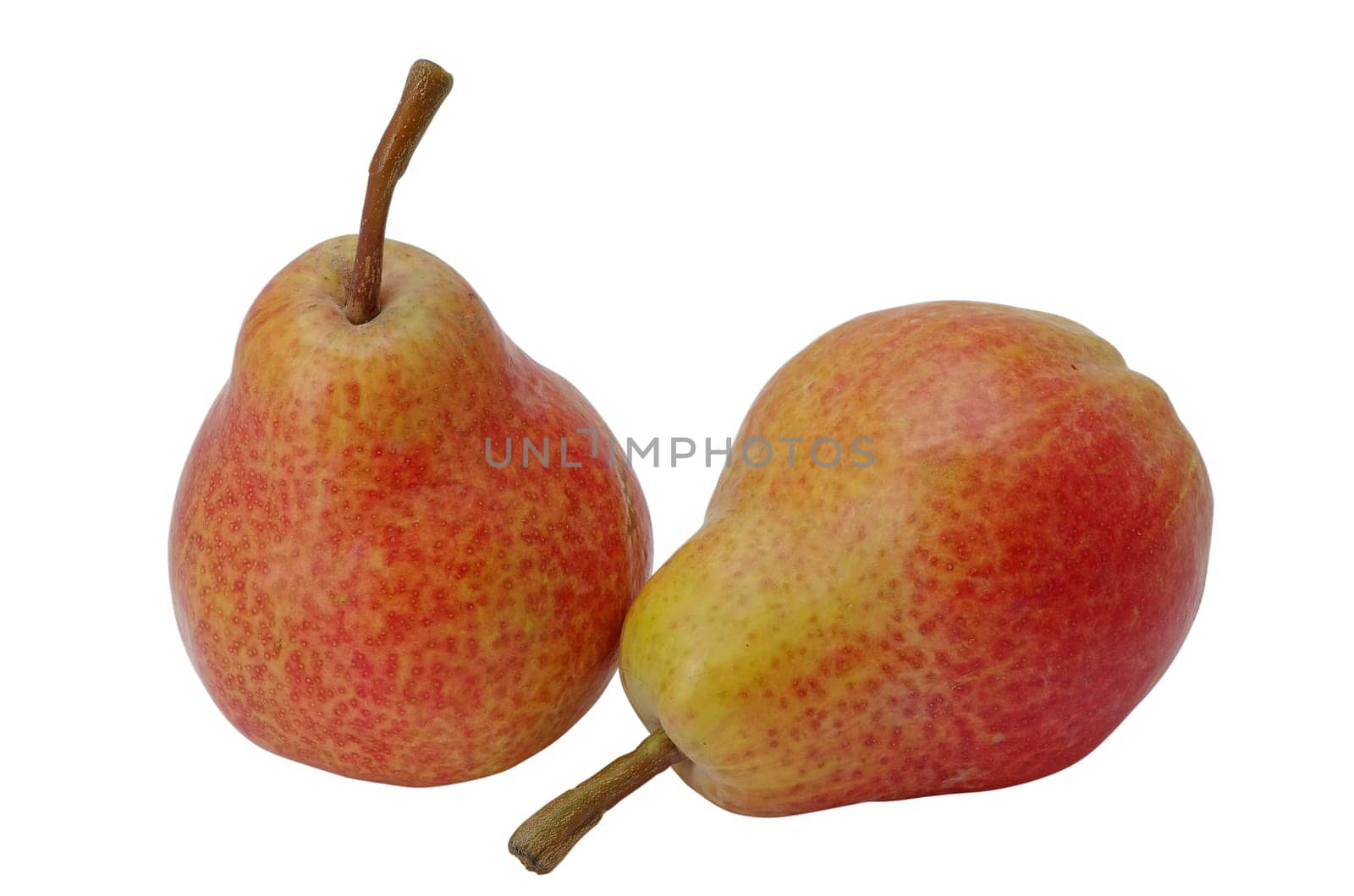 Two pears isolated on a white background