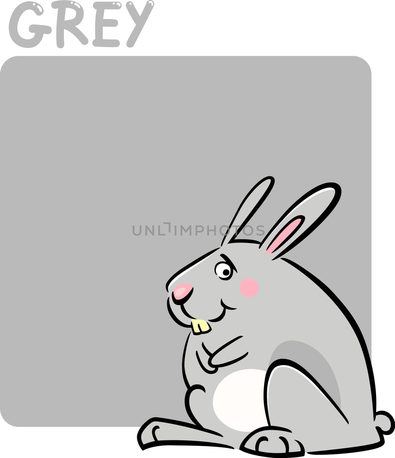 Cartoon Illustration of Color Grey and Rabbit