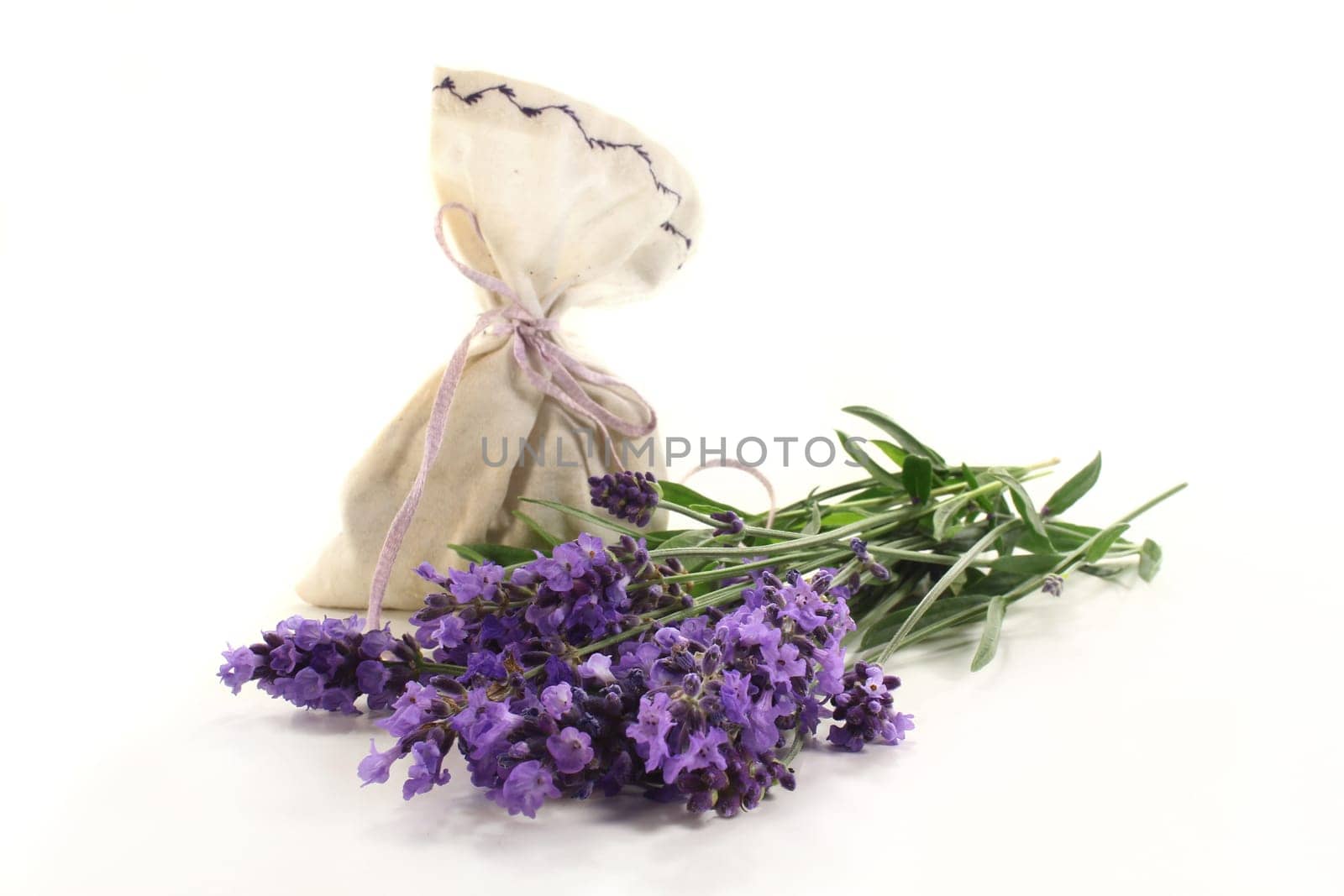fresh lavender flowers and lavender sachets against white background
