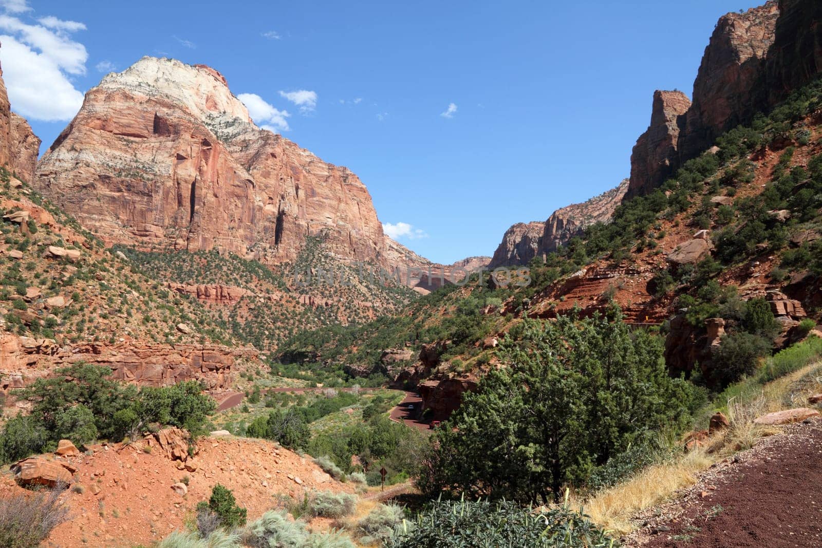 Zion National Park, Utah, USA