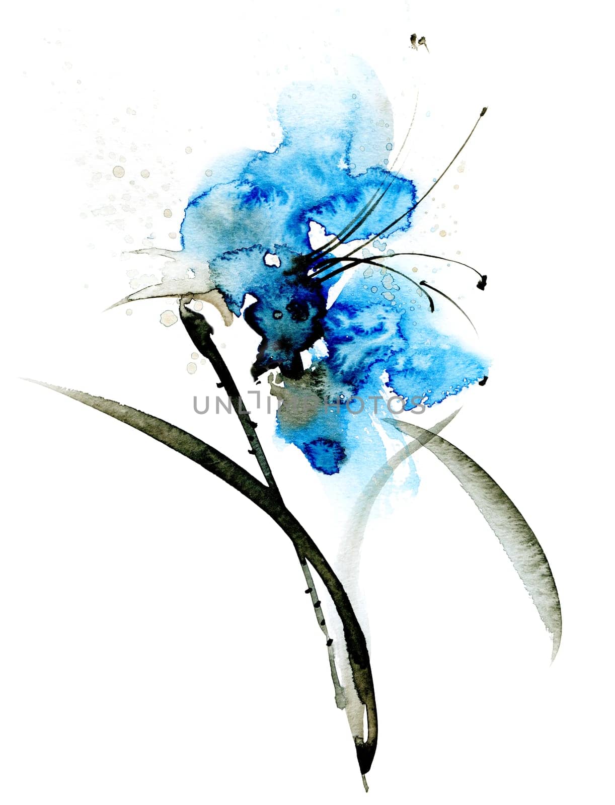 Watercolor and ink painting of blue flower. Oriental traditional sumi-e painting.
