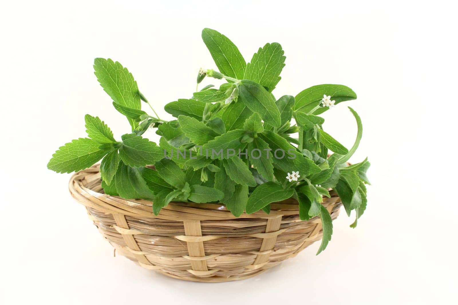 A basket of stevia against a white background