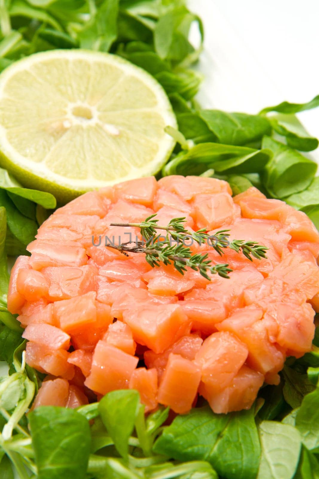 salmon tartare with fresh salad and lemon slice