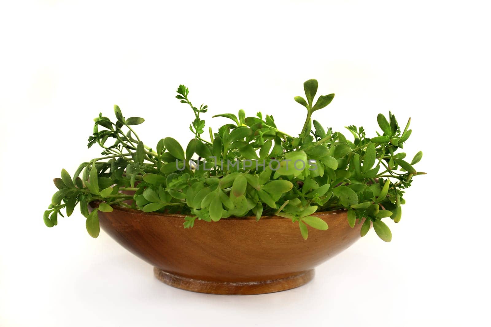 fresh garden cress in a wooden bowl