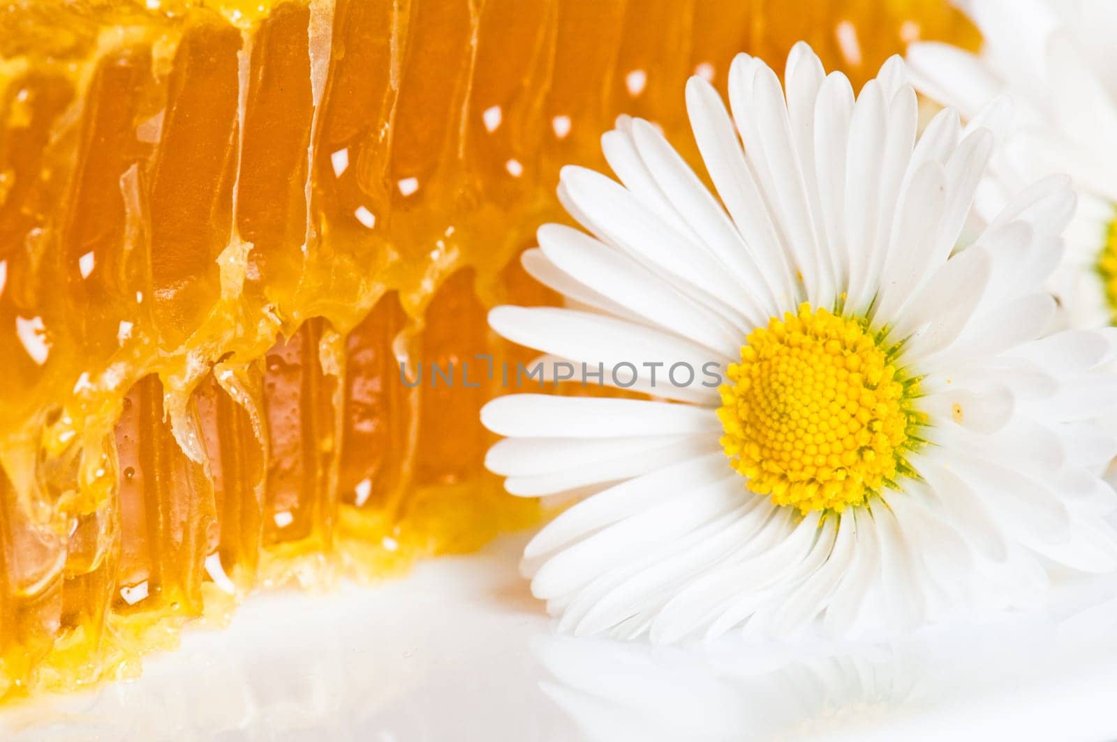 honeycomb with daisies on white plate