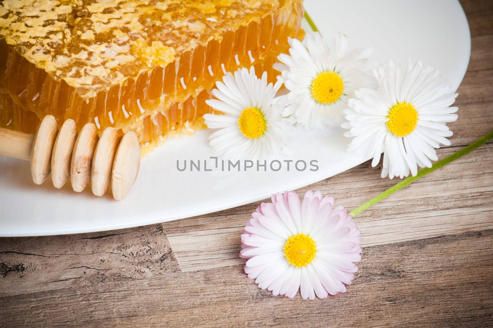 honeycomb with daisies on white plate