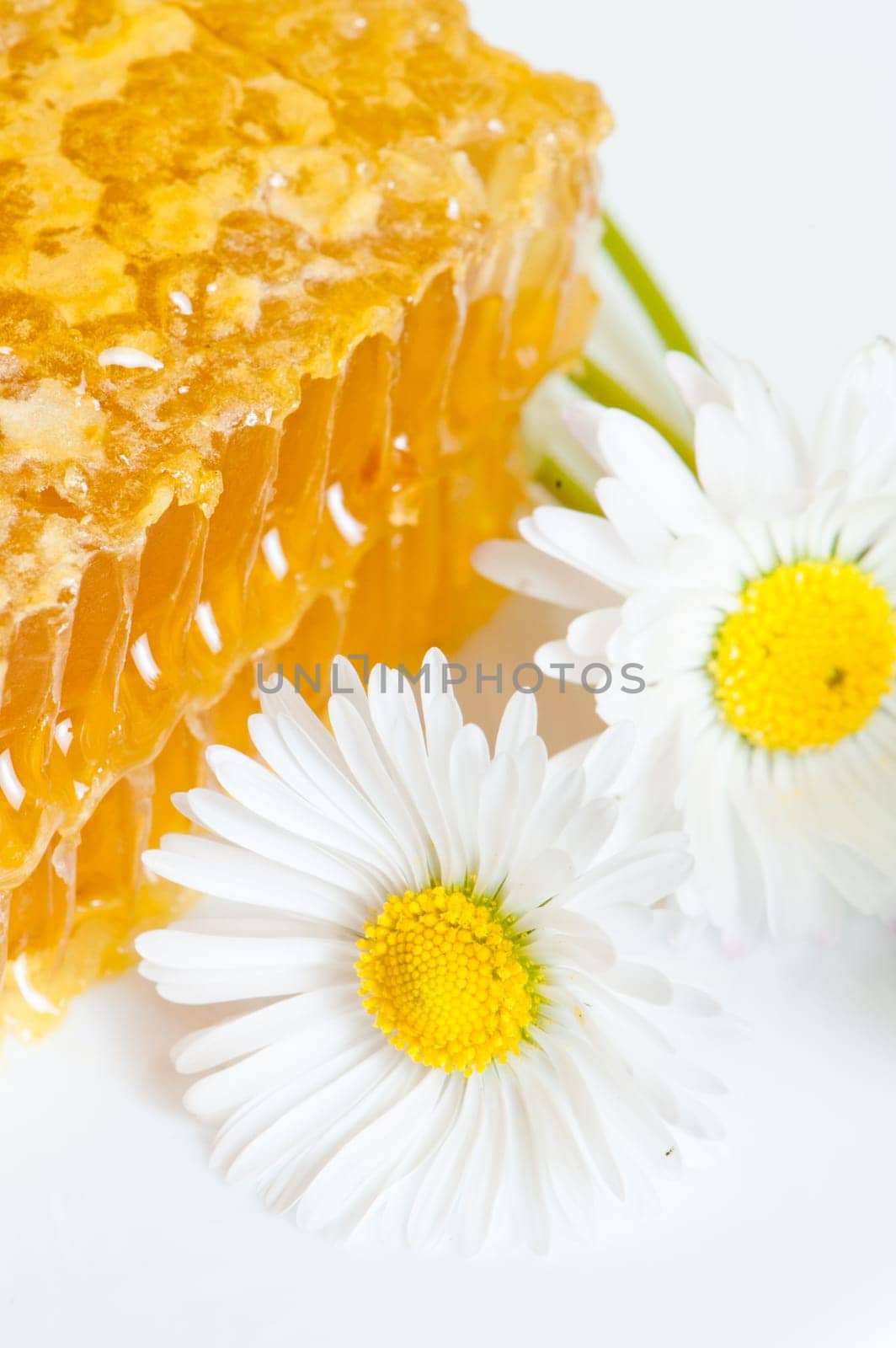 honeycomb with daisies on white plate