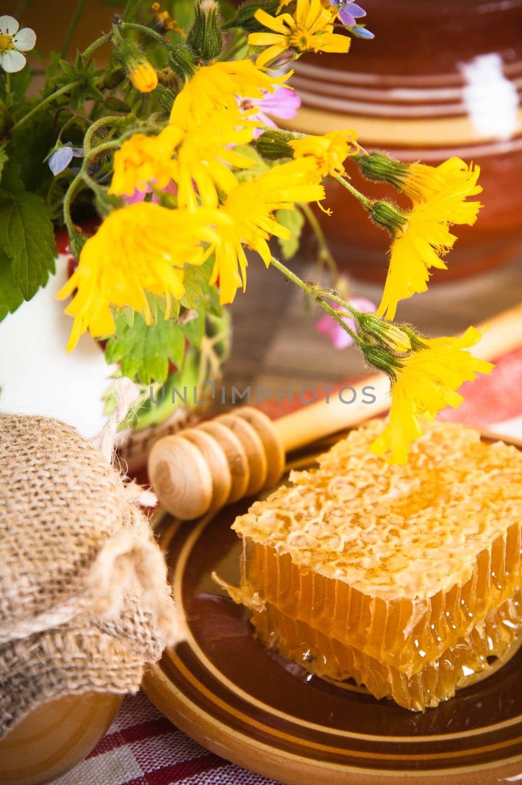 Still life with honeycombs, flowers and pot