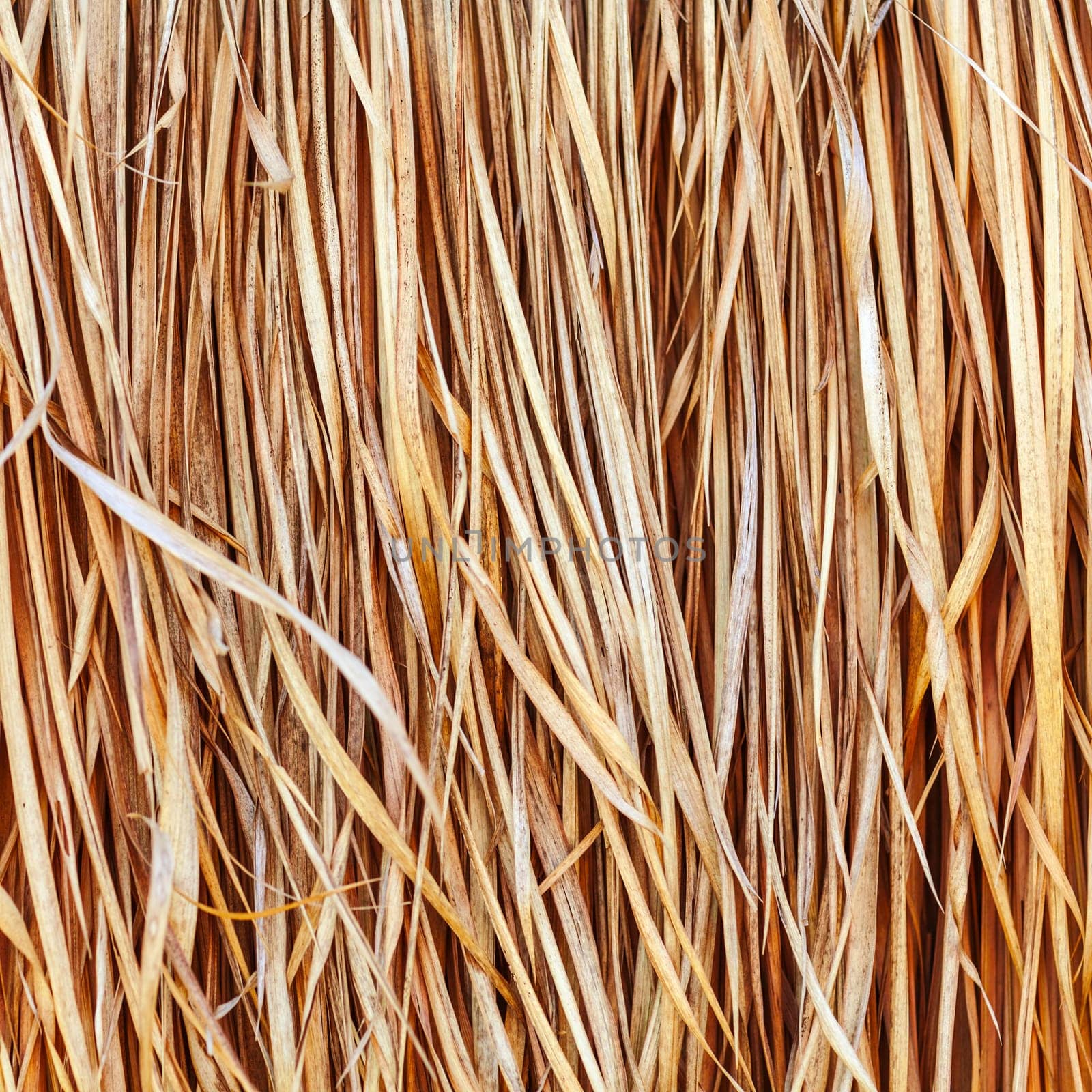 Background. Closeup of the straw