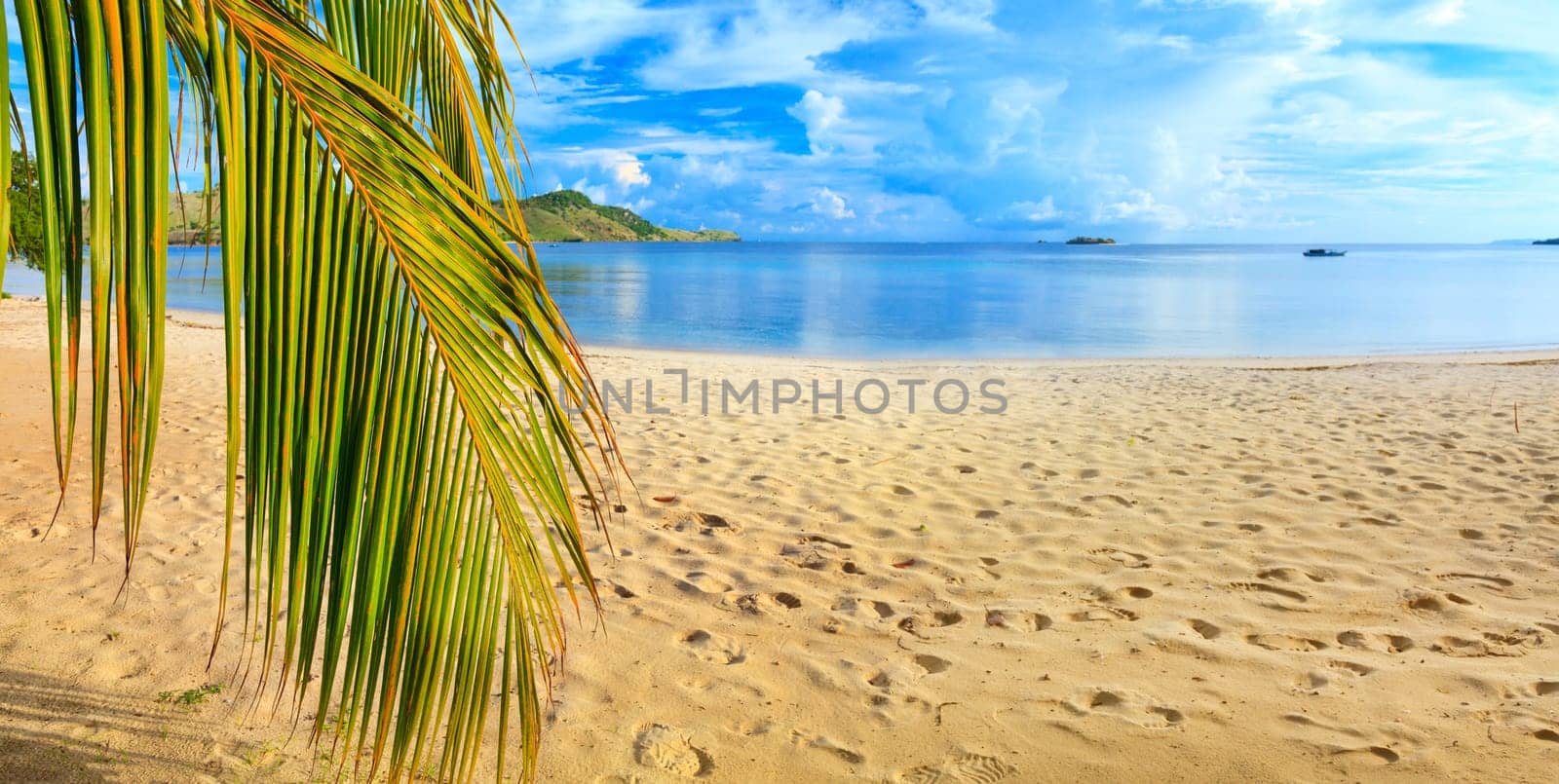 Panorama of the tropical beach