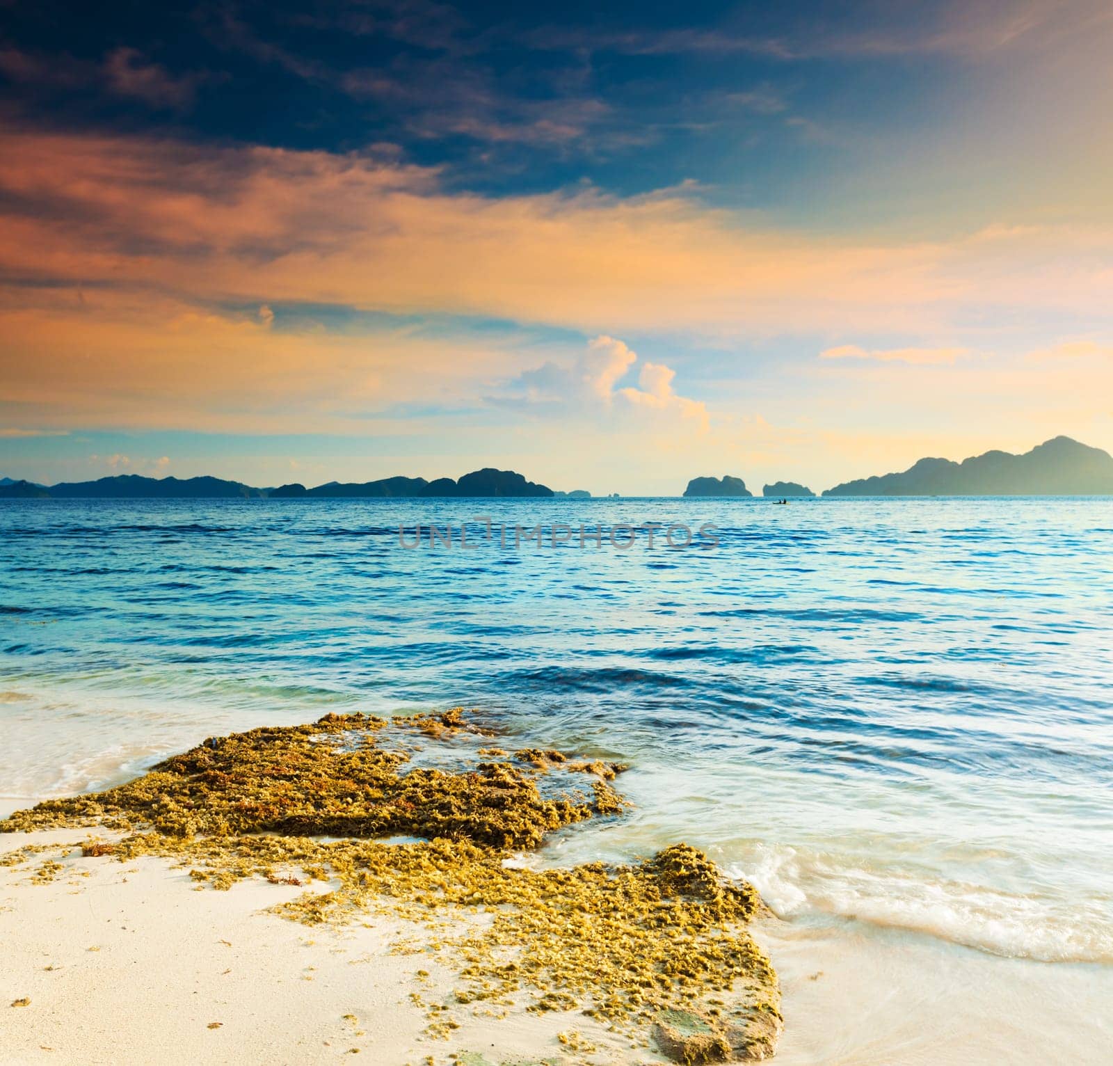 Beautiful seascape. Seaweed on the foreground. Philippines