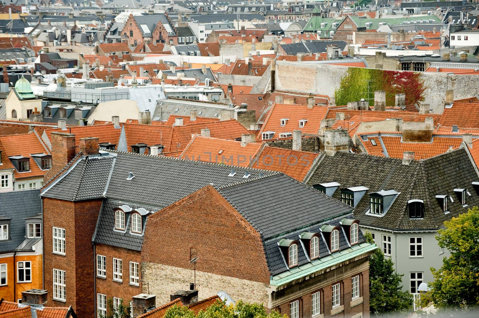 View of Copenhagen from height of bird&#039 s flight