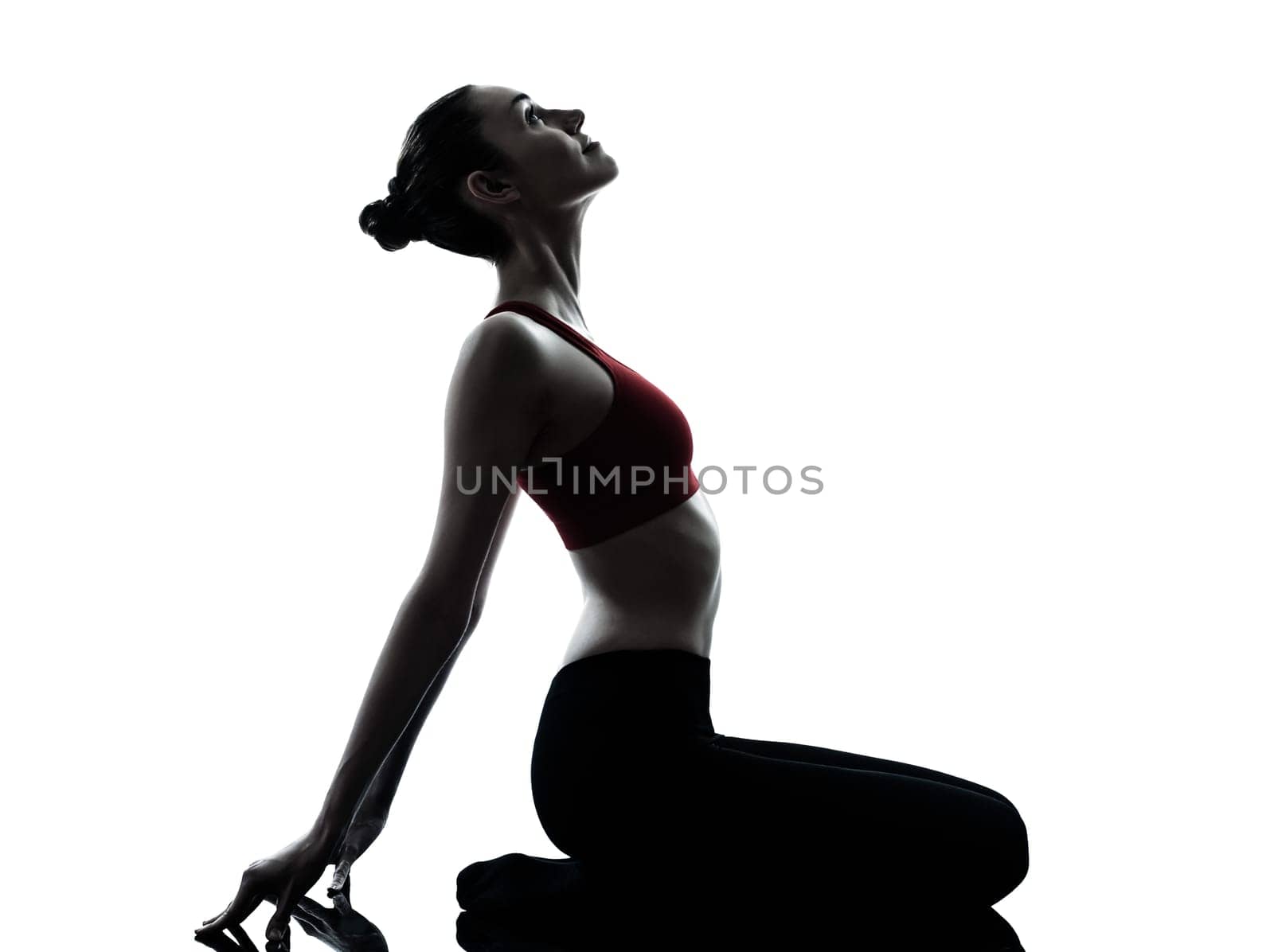 one caucasian woman exercising yoga meditating in silhouette studio isolated on white background