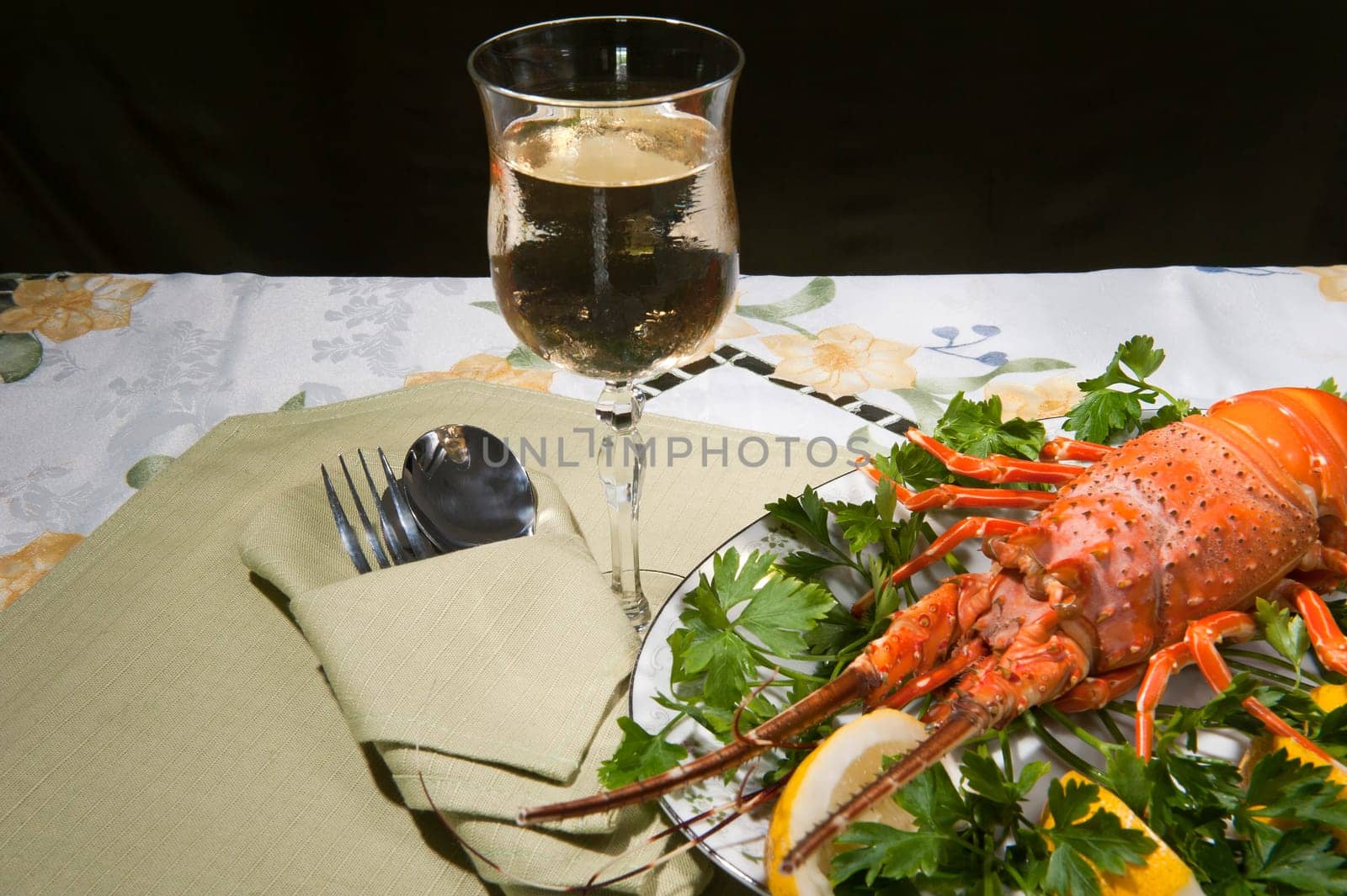dish with cooked lobster on a colored background