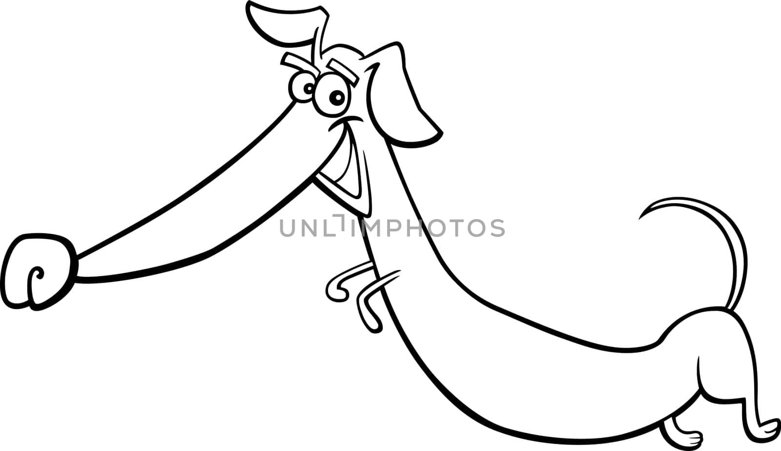 cartoon illustration of happy jumping dachshund dog for coloring book