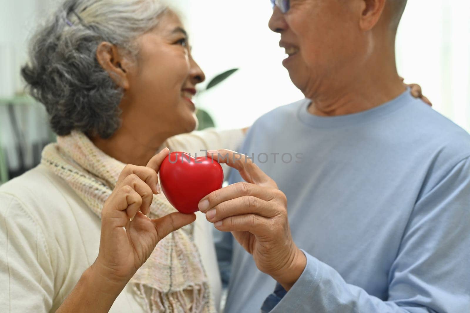 Happy elderly couple holding a red heart shape as a symbol health care, love and insurance by prathanchorruangsak