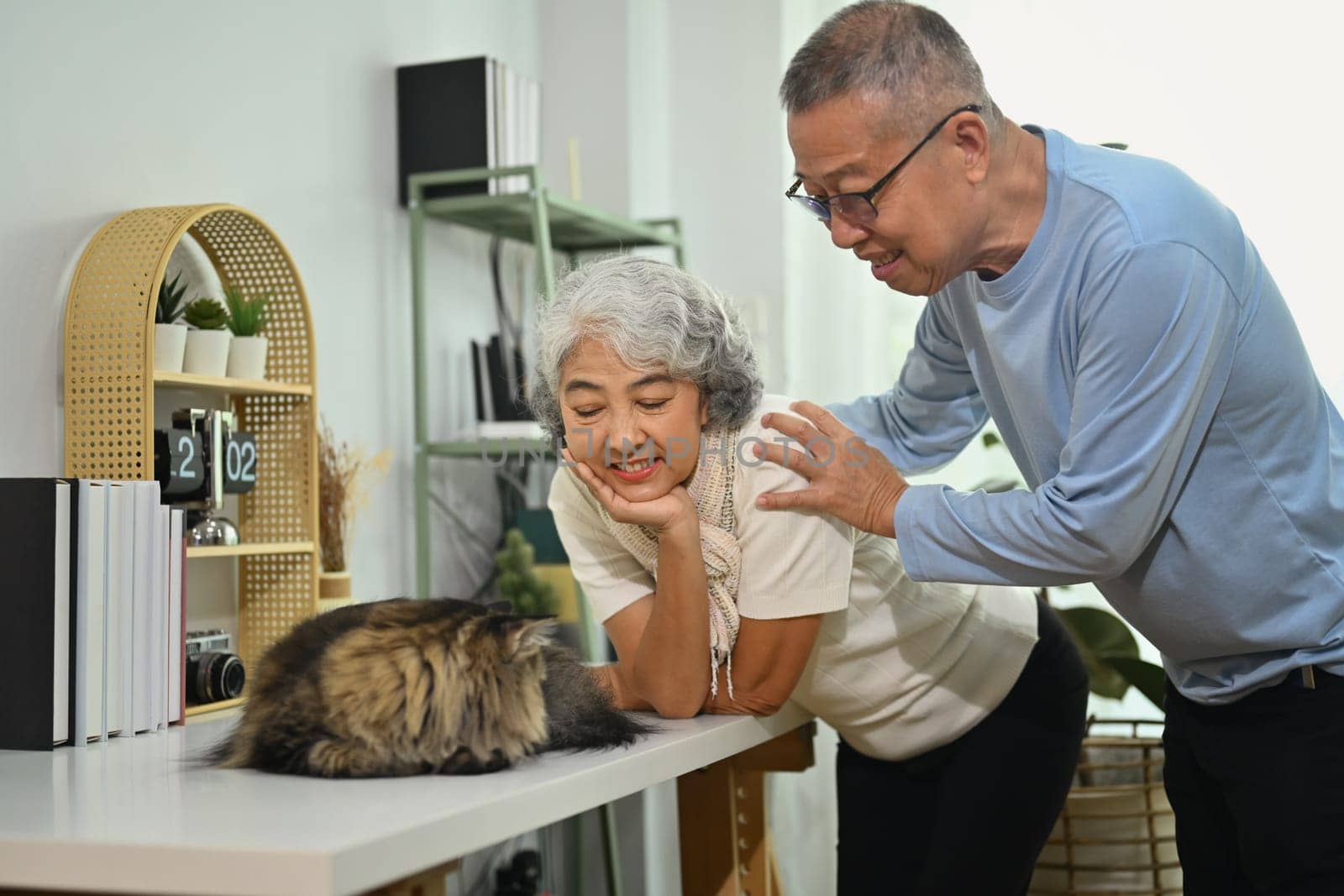 Affectionate senior couple playing with cute fluffy cat in living room by prathanchorruangsak
