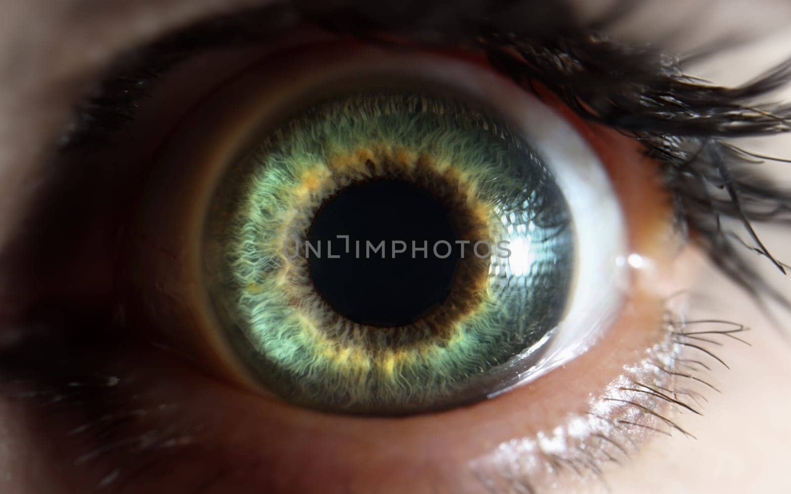 Macro photography of green beautiful bright eye of woman closeup. Laser vision correction concept