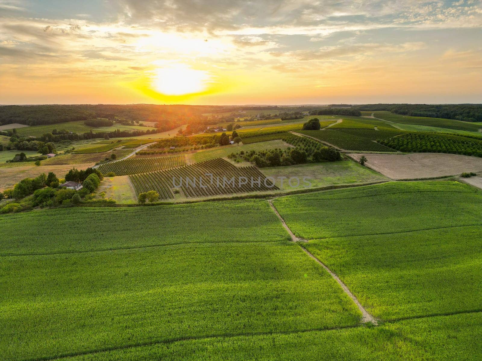 Aerial view campaign at sunrise, Entre deux mers, Gironde. High quality photo