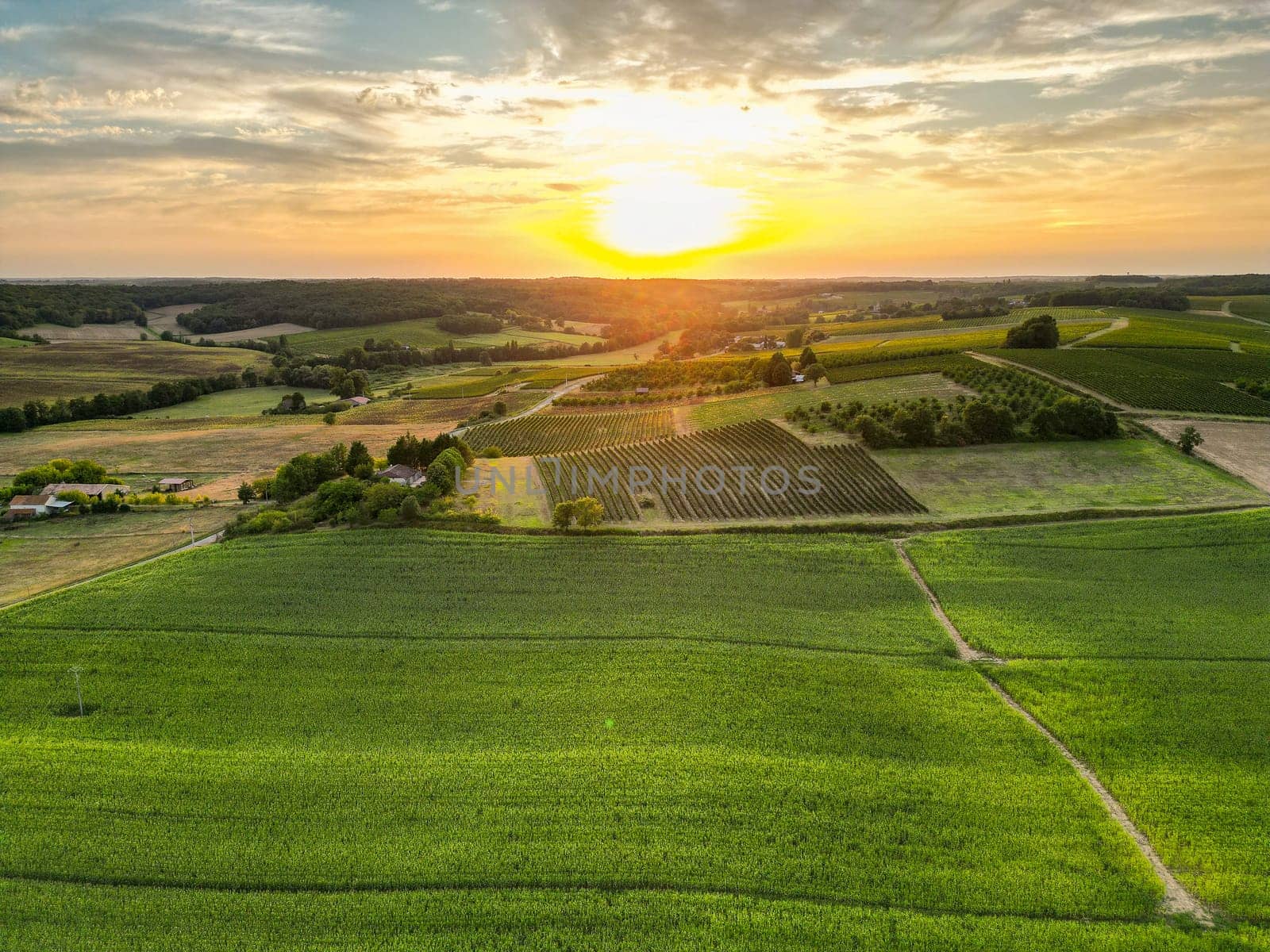 Aerial view campaign at sunrise, Entre deux mers, Gironde. High quality photo