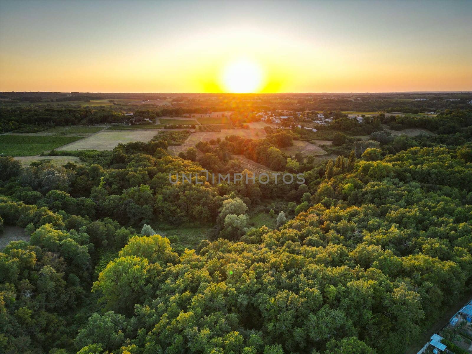 Aerial view Bordeaux Forest and Vineyard at sunrise, Entre deux mers, Gironde. High quality photo