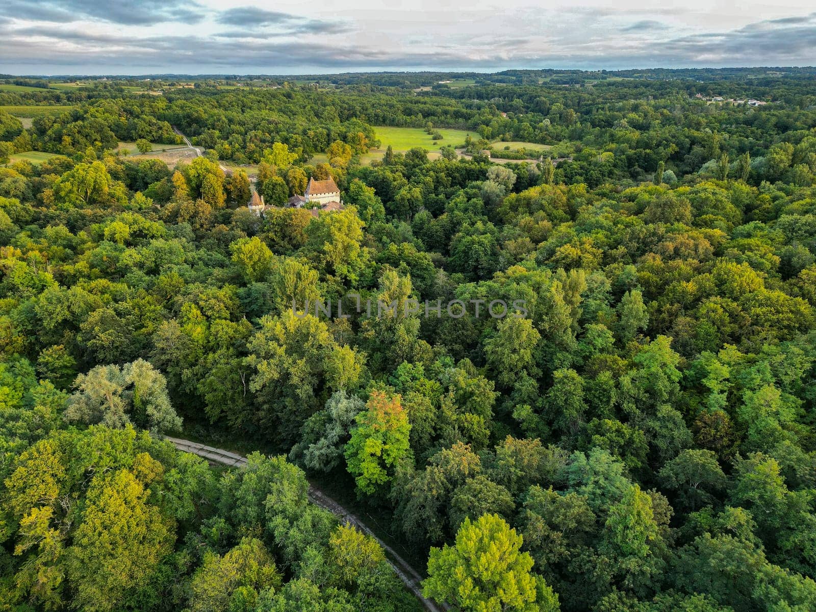 Aerial view Bordeaux Forest and Vineyard at sunrise, Entre deux mers, Gironde. High quality photo