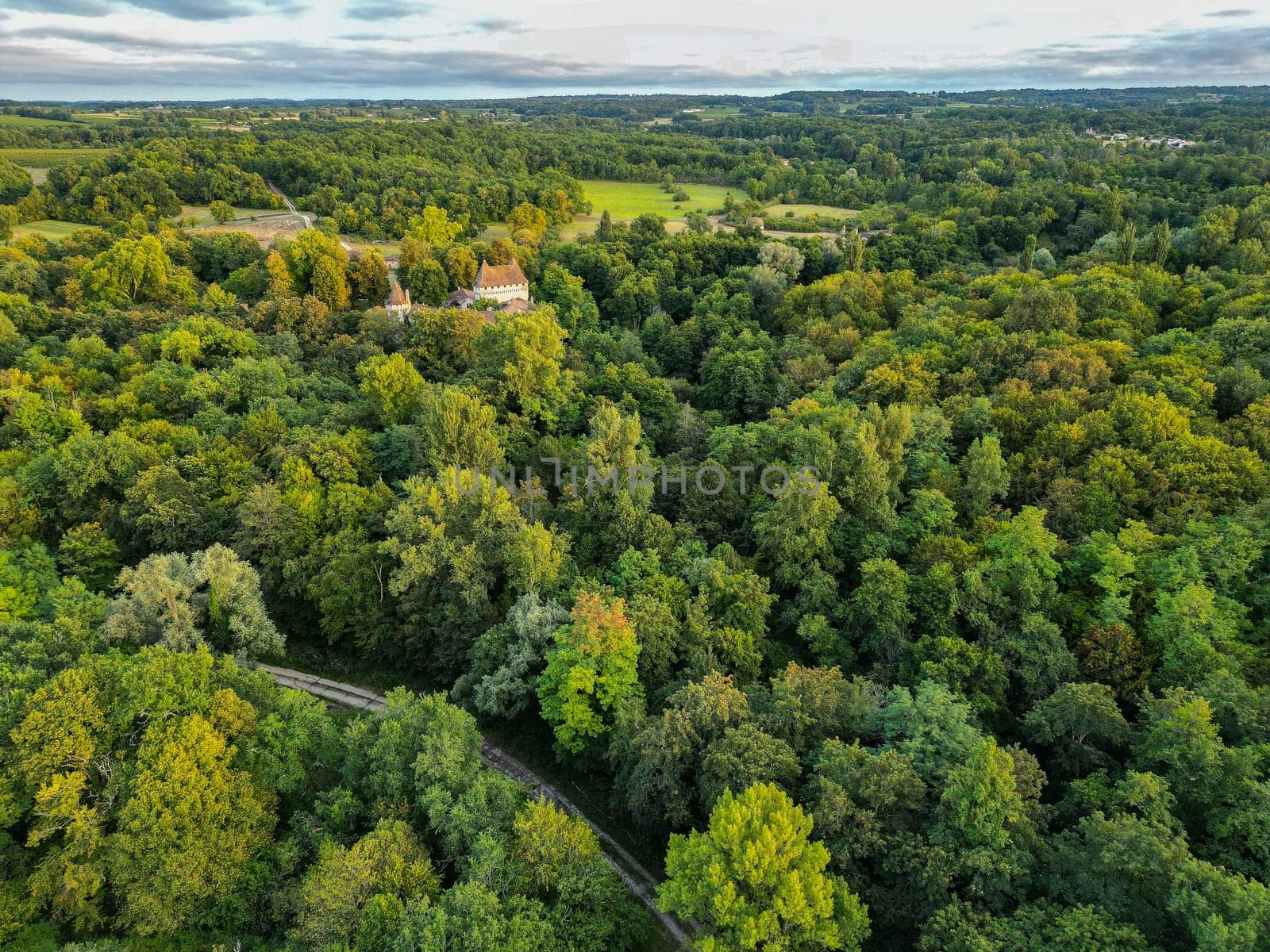 Aerial view Bordeaux Forest and Vineyard at sunrise, Entre deux mers, Gironde. High quality photo