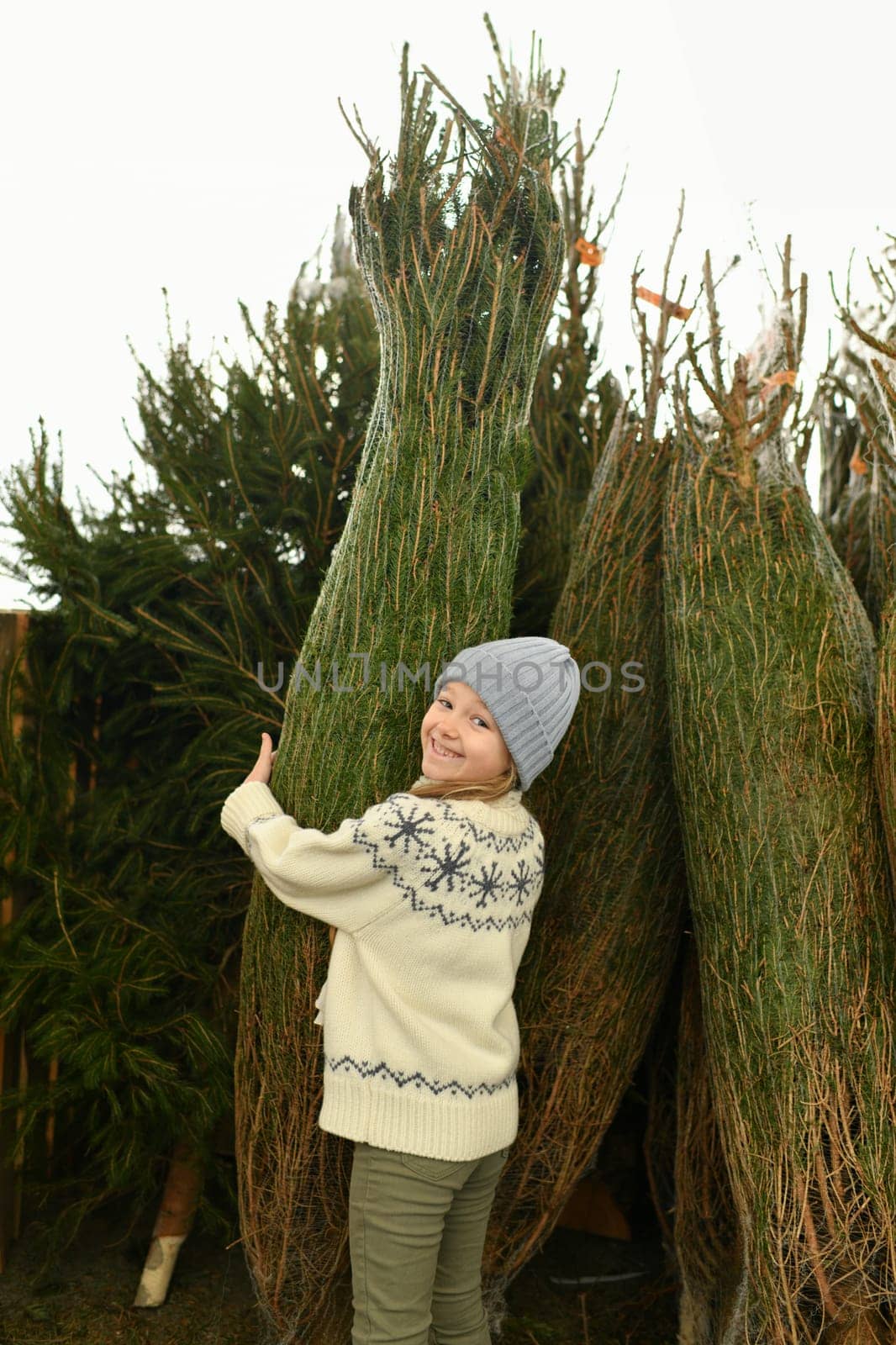 A girl buying a Christmas tree in the market.