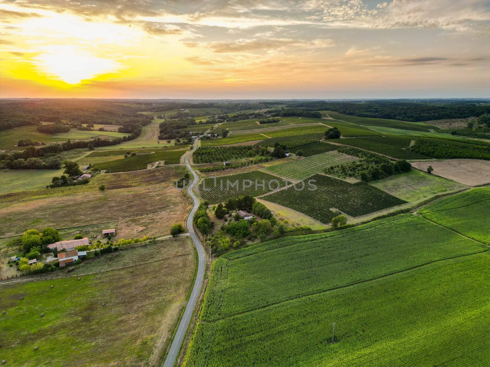 Aerial view campaign at sunrise, Entre deux mers, Gironde. High quality photo