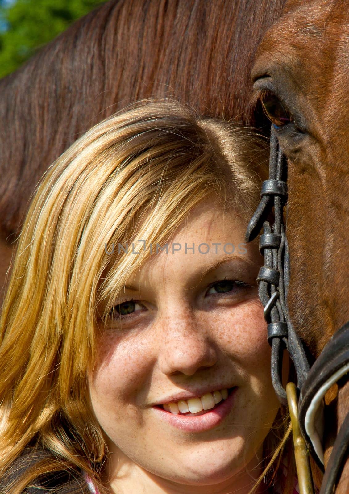 Love of horses