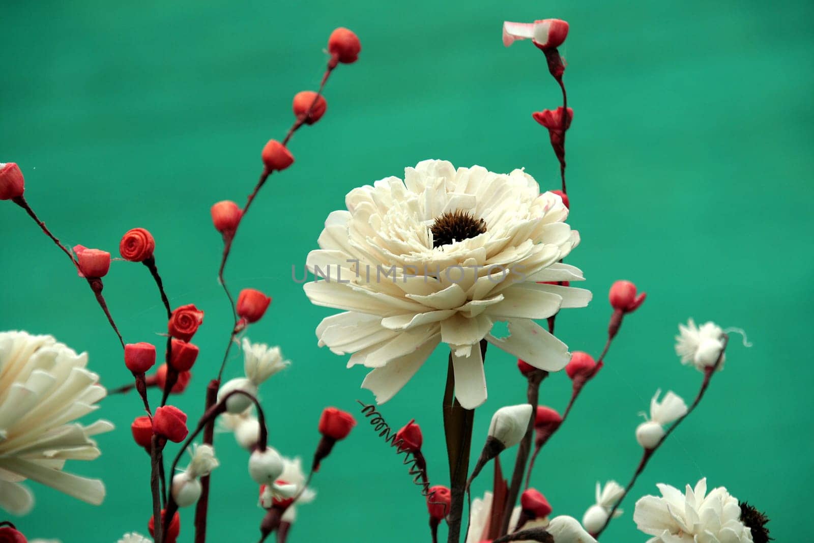 White flowers with red artificial buds isolated on green background