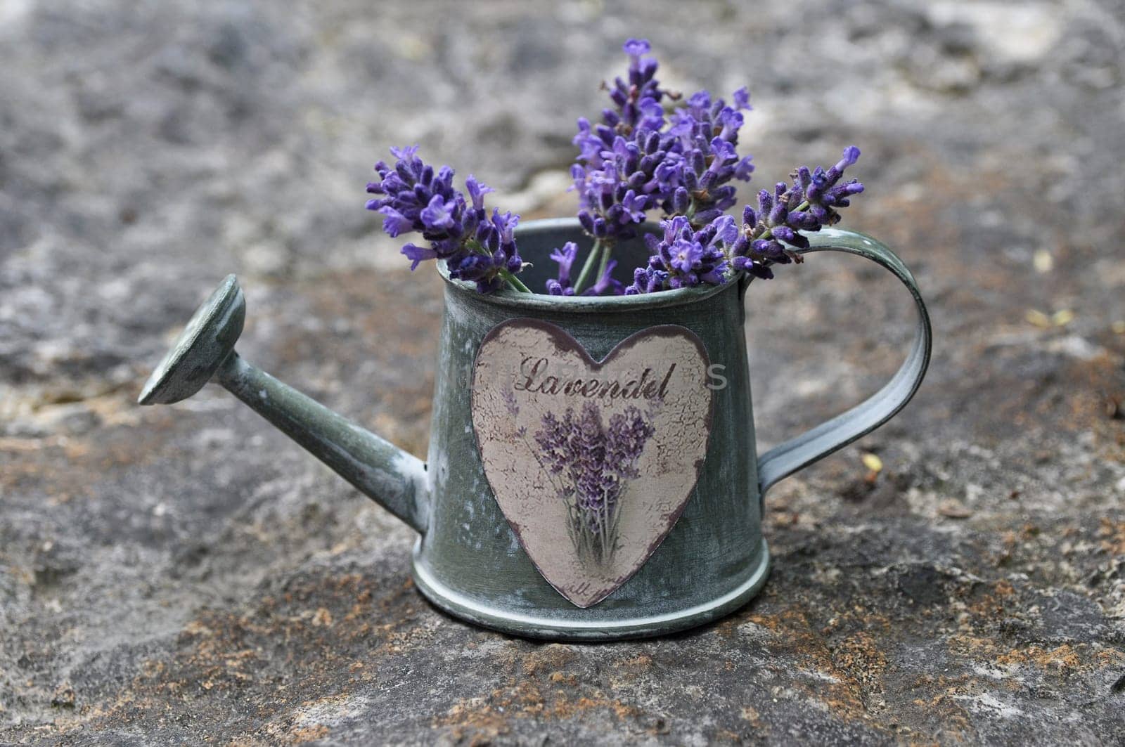 Lavender Jug