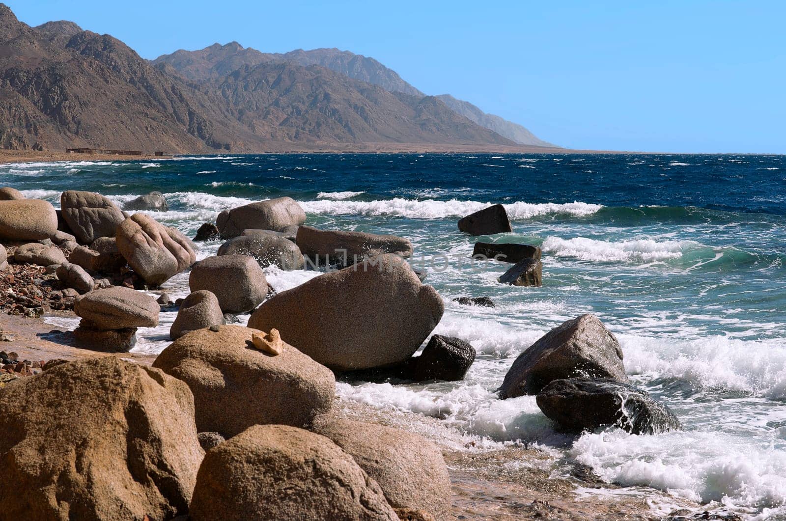 WILD COAST