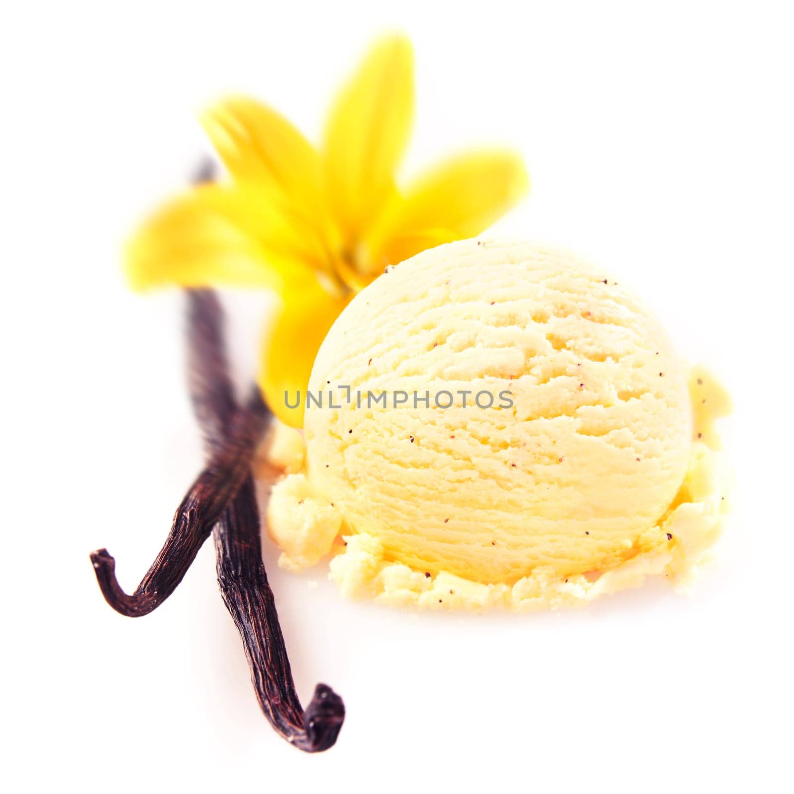Vanilla pods and flower with a delicious scoop of rich creamy icecream served for a refreshing summer dessert
