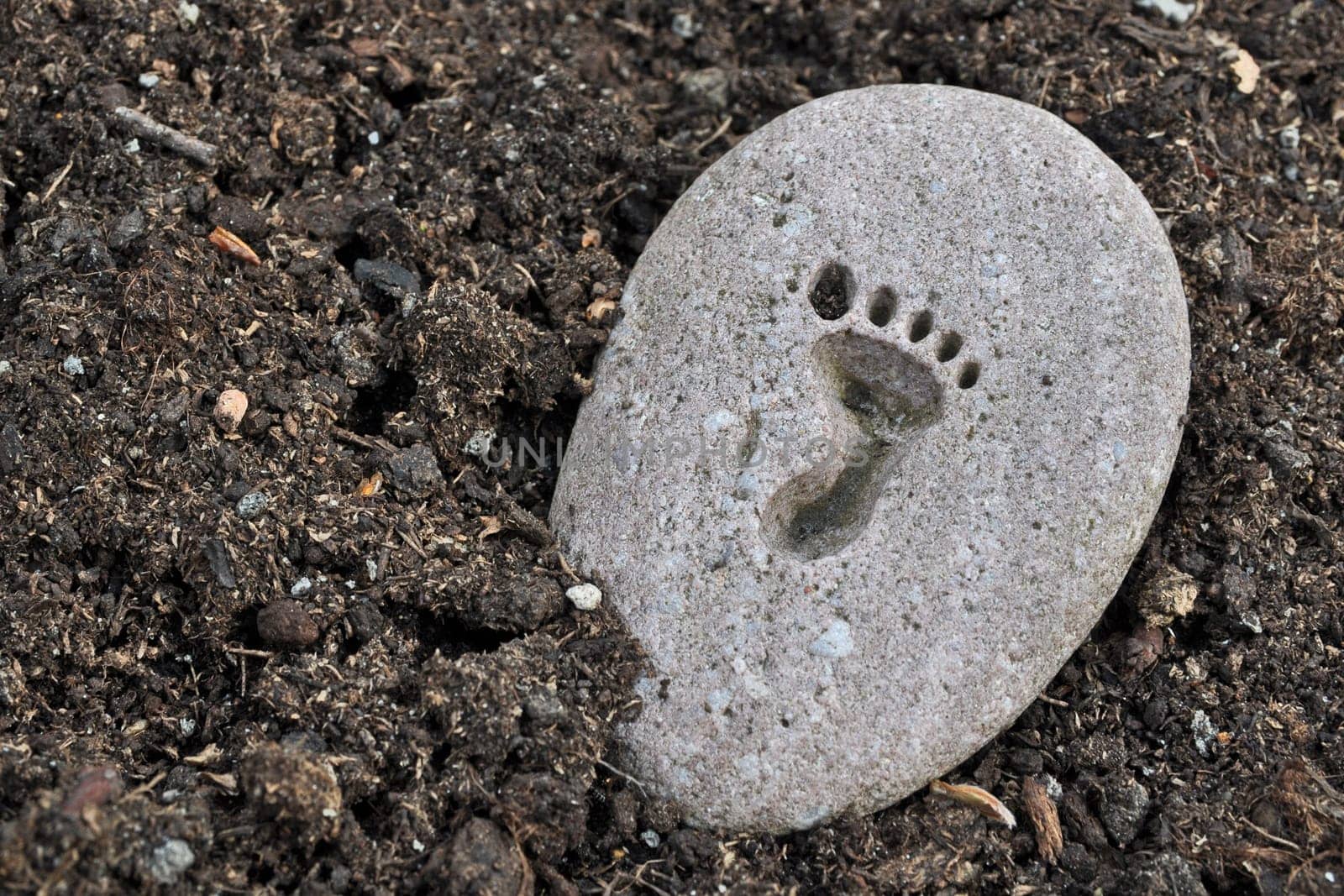 Footprint