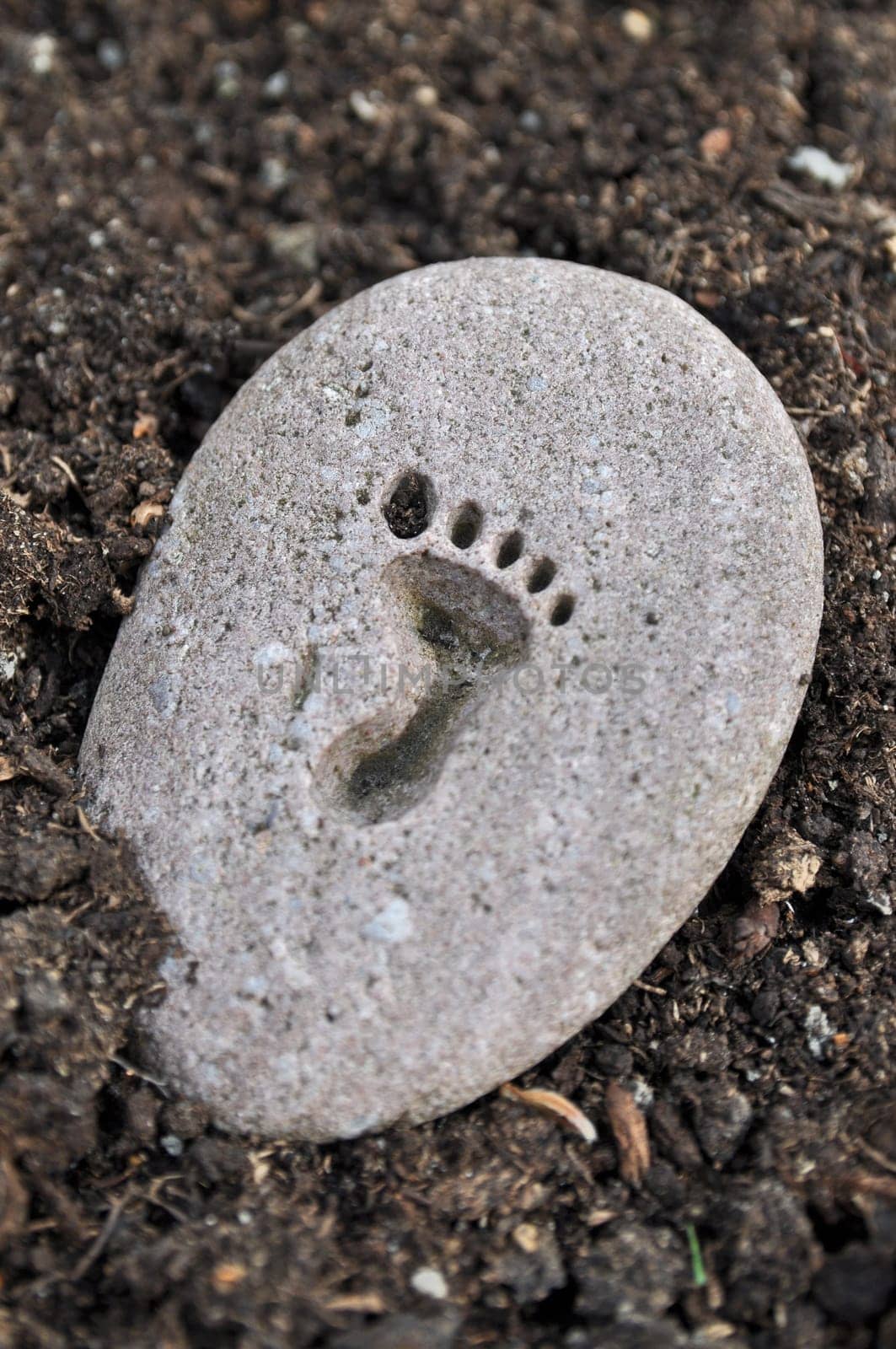 Footprint