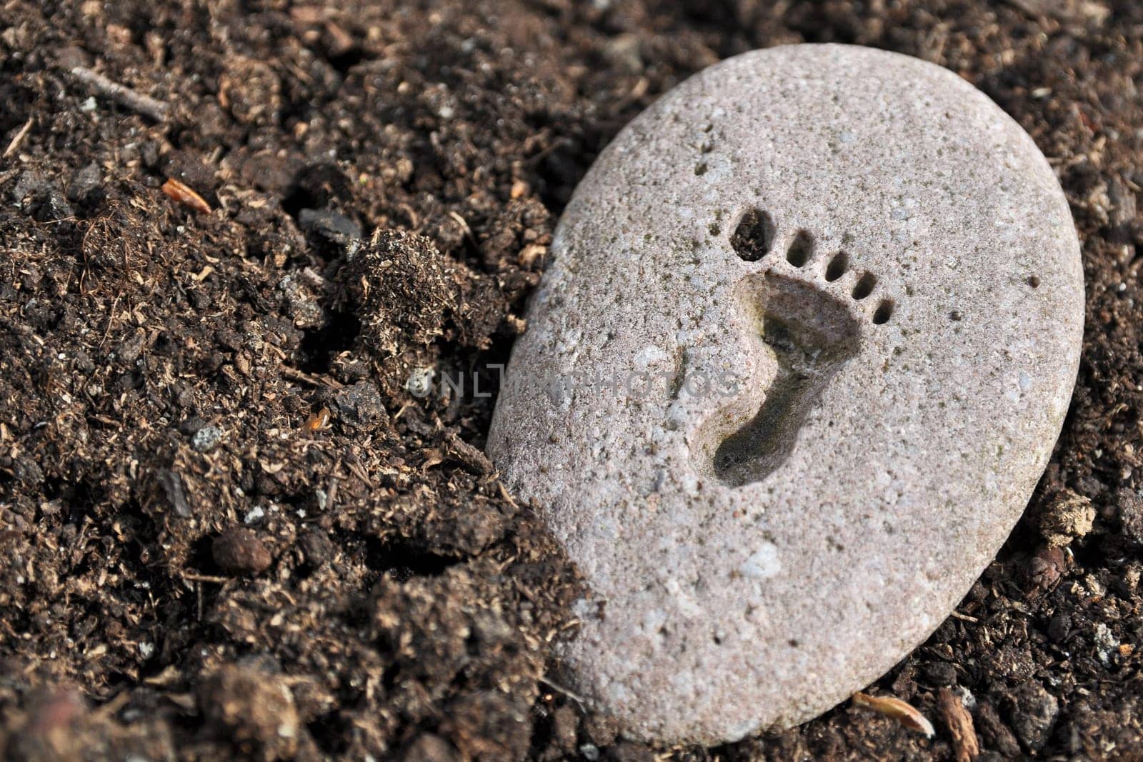 Footprint