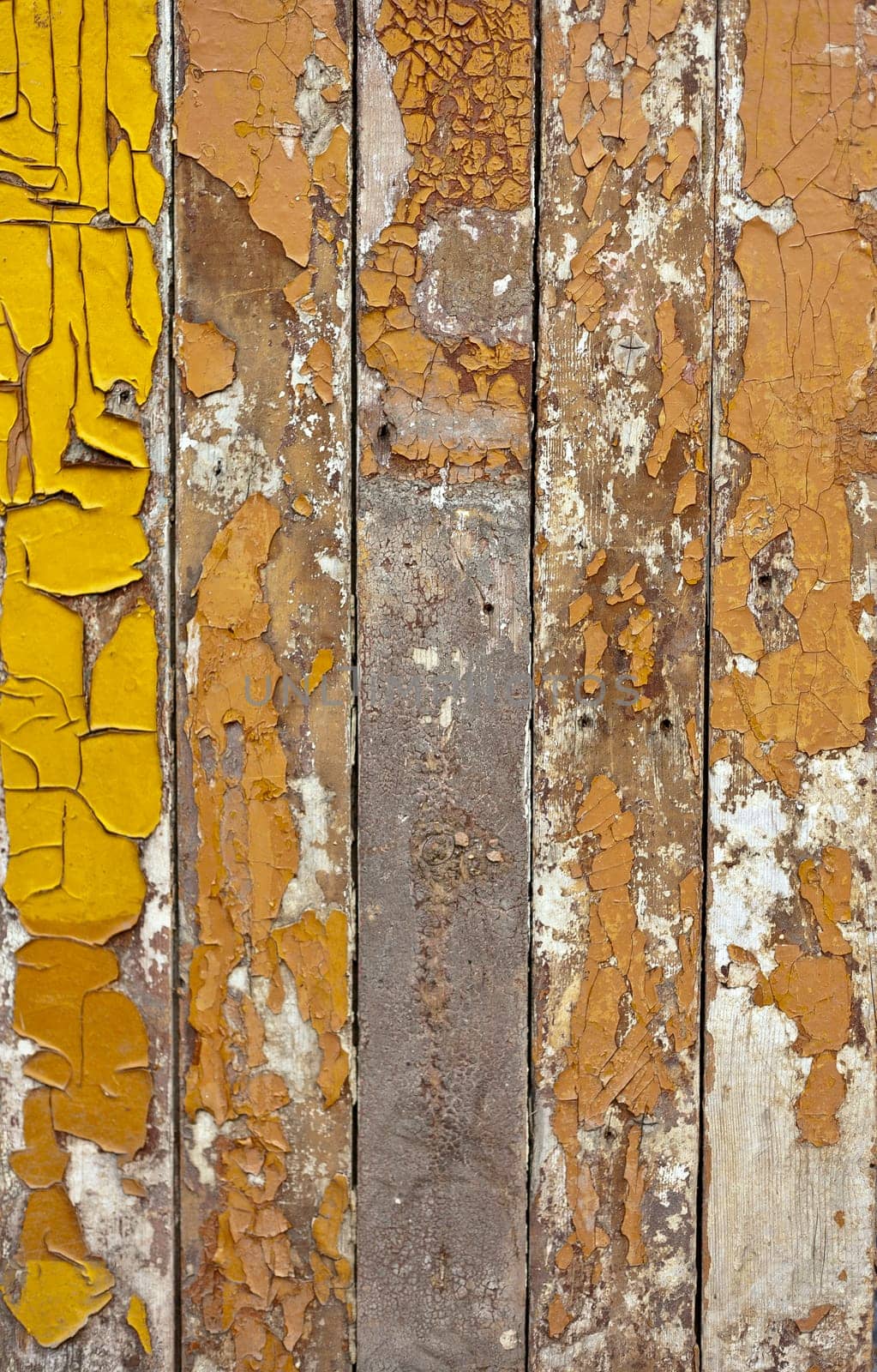 the brown wood texture with natural patterns