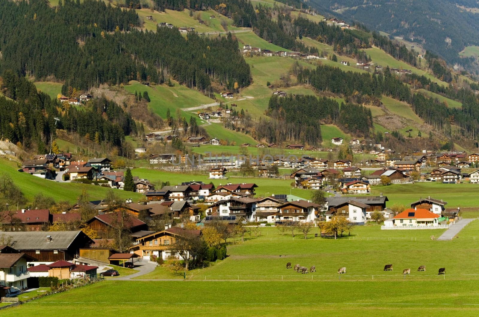 Village landscape in the Alps (Austria)