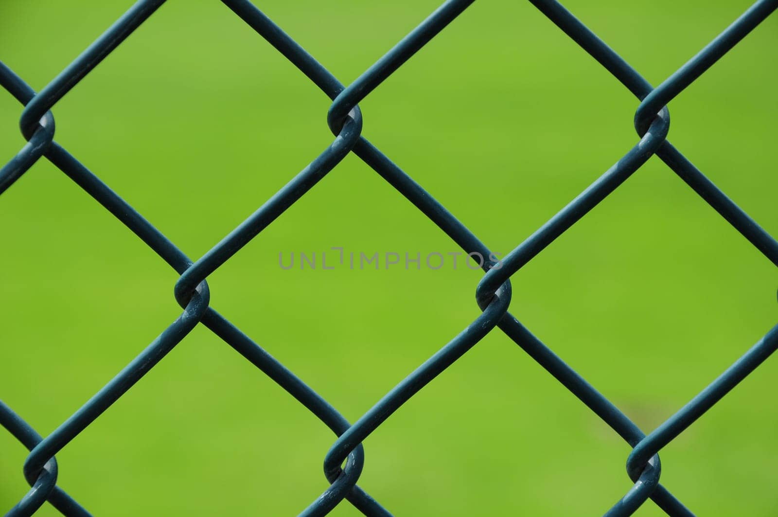 Wire mesh fence