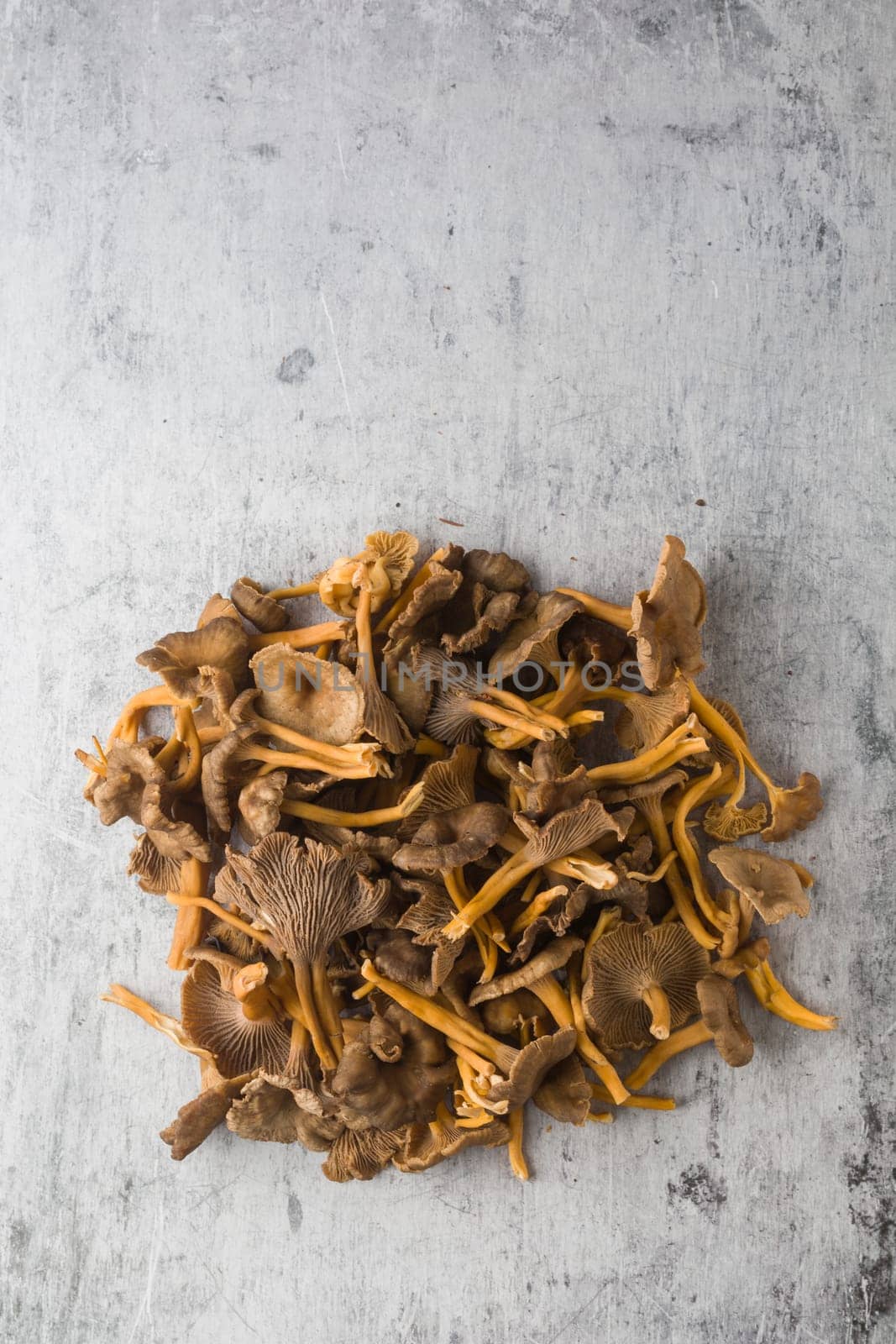 Craterellus cornucopioides, or horn of plenty, trumpet chanterelle, edible mushroom, pattern.