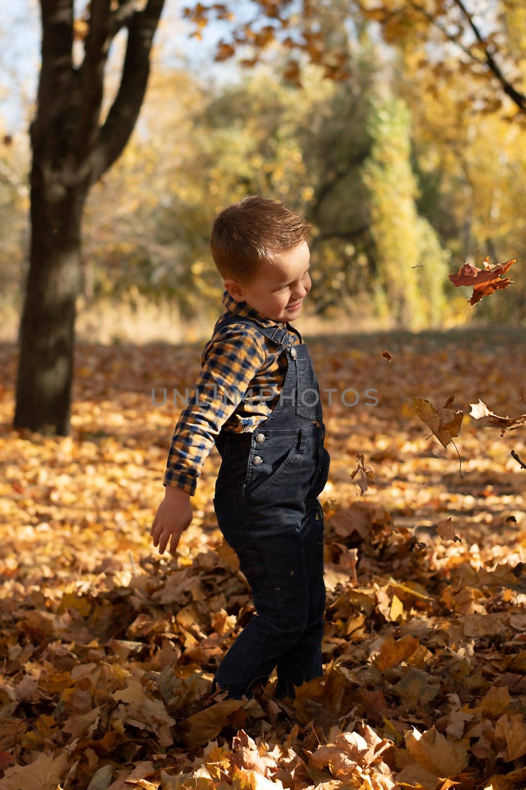 Autumn concept. A small, handsome and emotional boy, in a checkered shirt and overalls, actively plays and throws leaves in the park in autumn. Soft focus. Close-up.