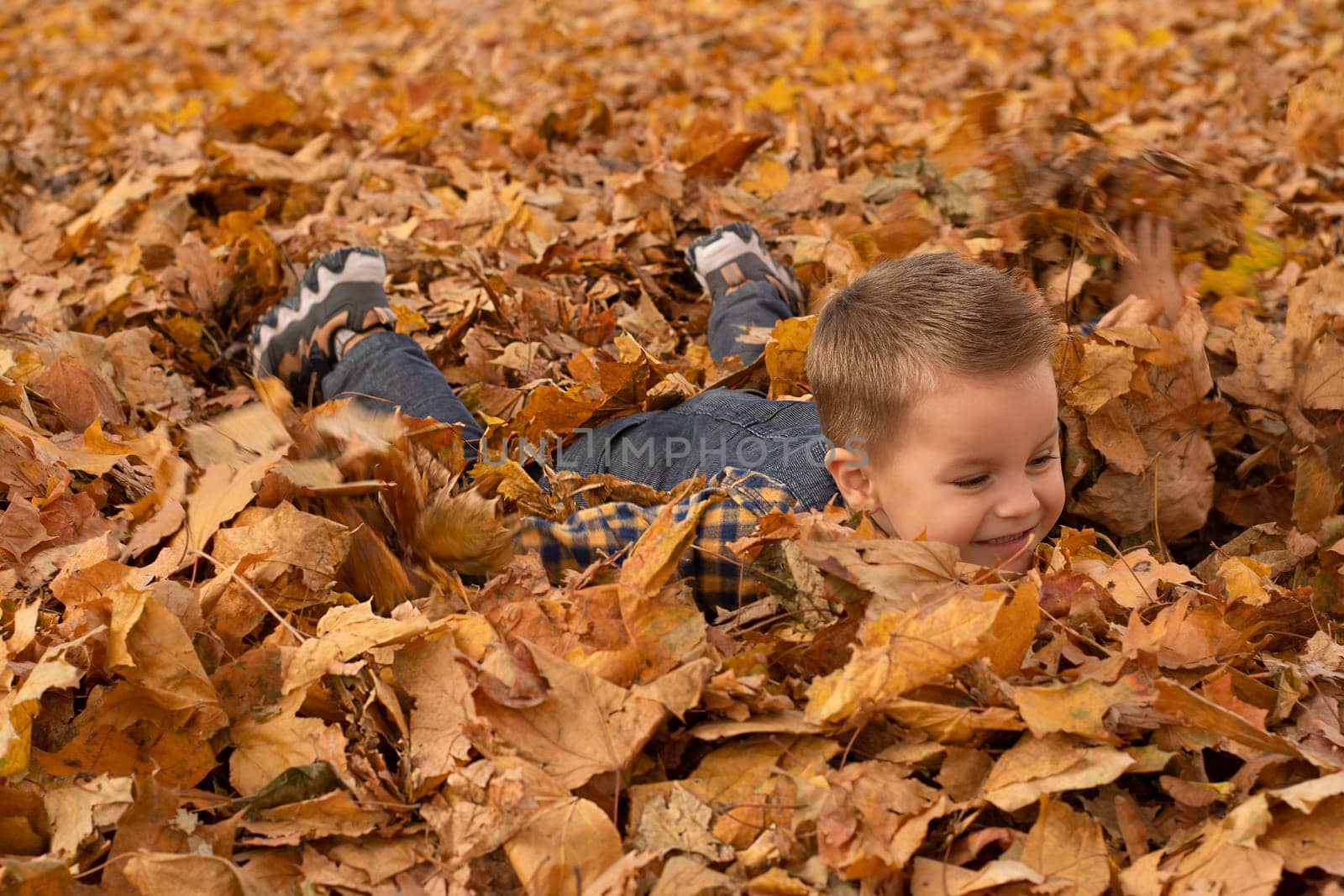 Autumn concept. A small, handsome and emotional boy in a plaid shirt and overalls lies cheerfully in the autumn yellow leaves in the park. Soft focus. Close-up.