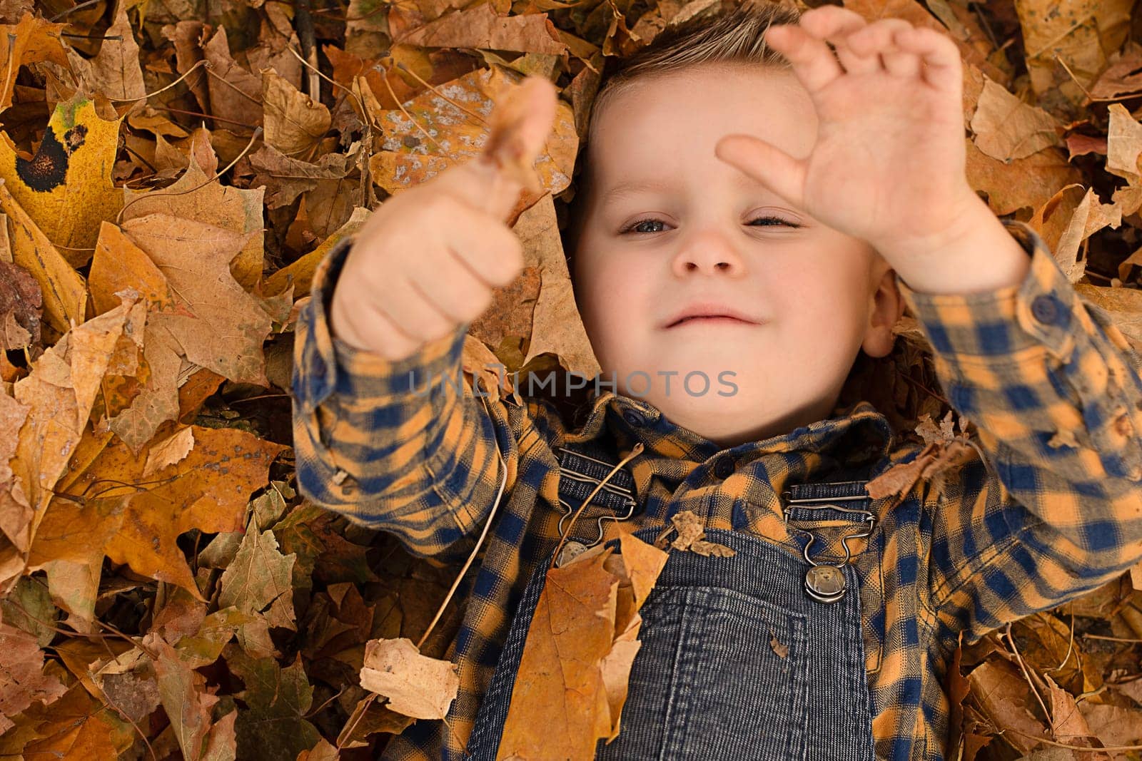 Autumn concept. A small, handsome and emotional boy in a plaid shirt and overalls lies cheerfully in the autumn yellow leaves in the park. Soft focus. Close-up.