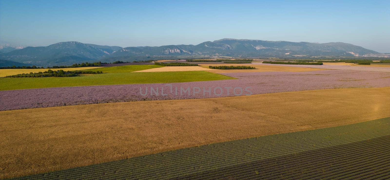 Plateau de Valensole lavender field at sunset in Haute Alpes Provence Cote d'Azur, Aerial view by FreeProd