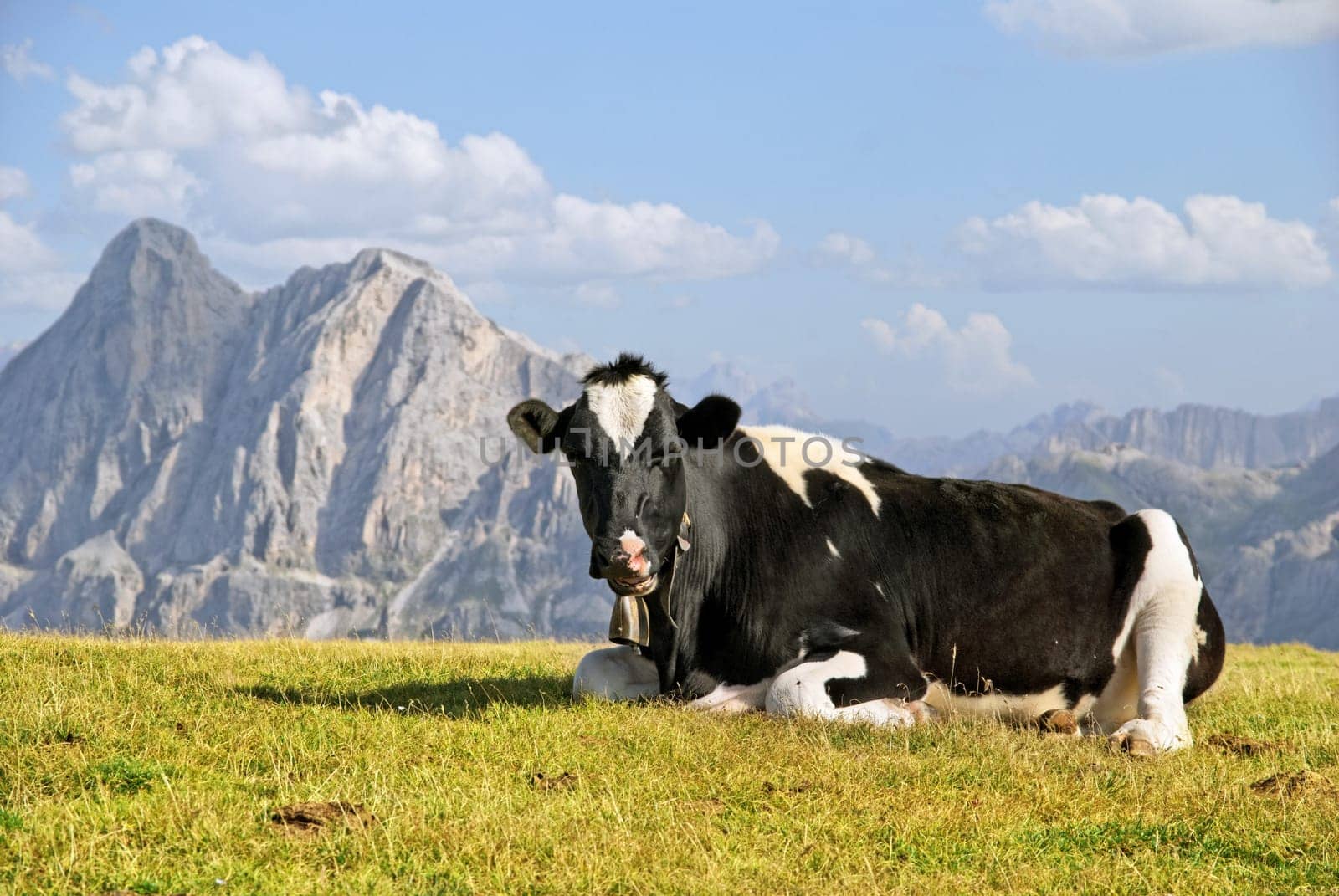 On the Gabler Alm on the Plosen in the Puez-Odle Nature Park,Funes Valley,Suedtitol,Italy