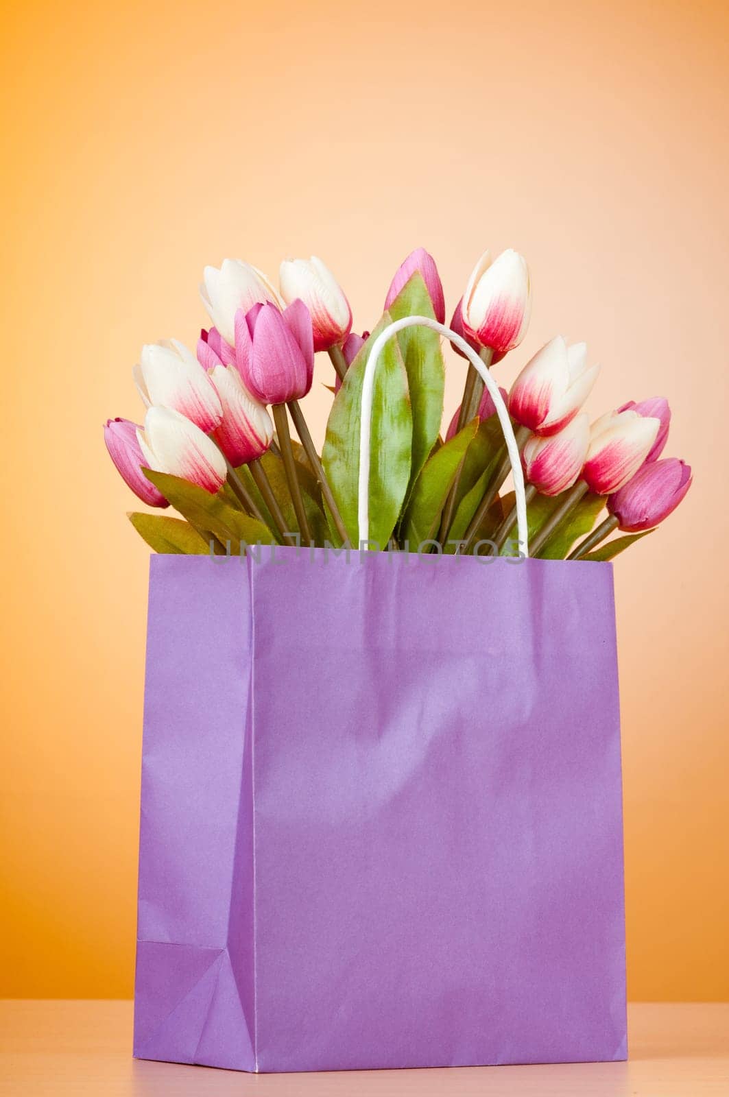 Tulips in the bag against gradient background