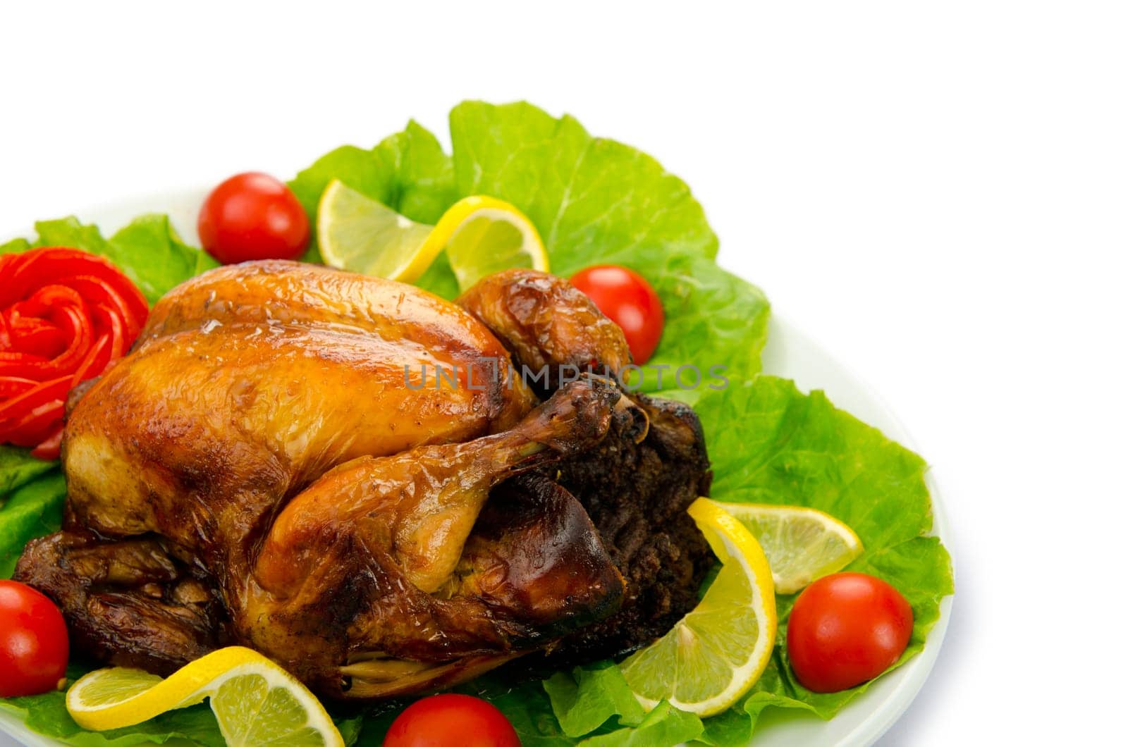 Turkey roasted and served in the plate